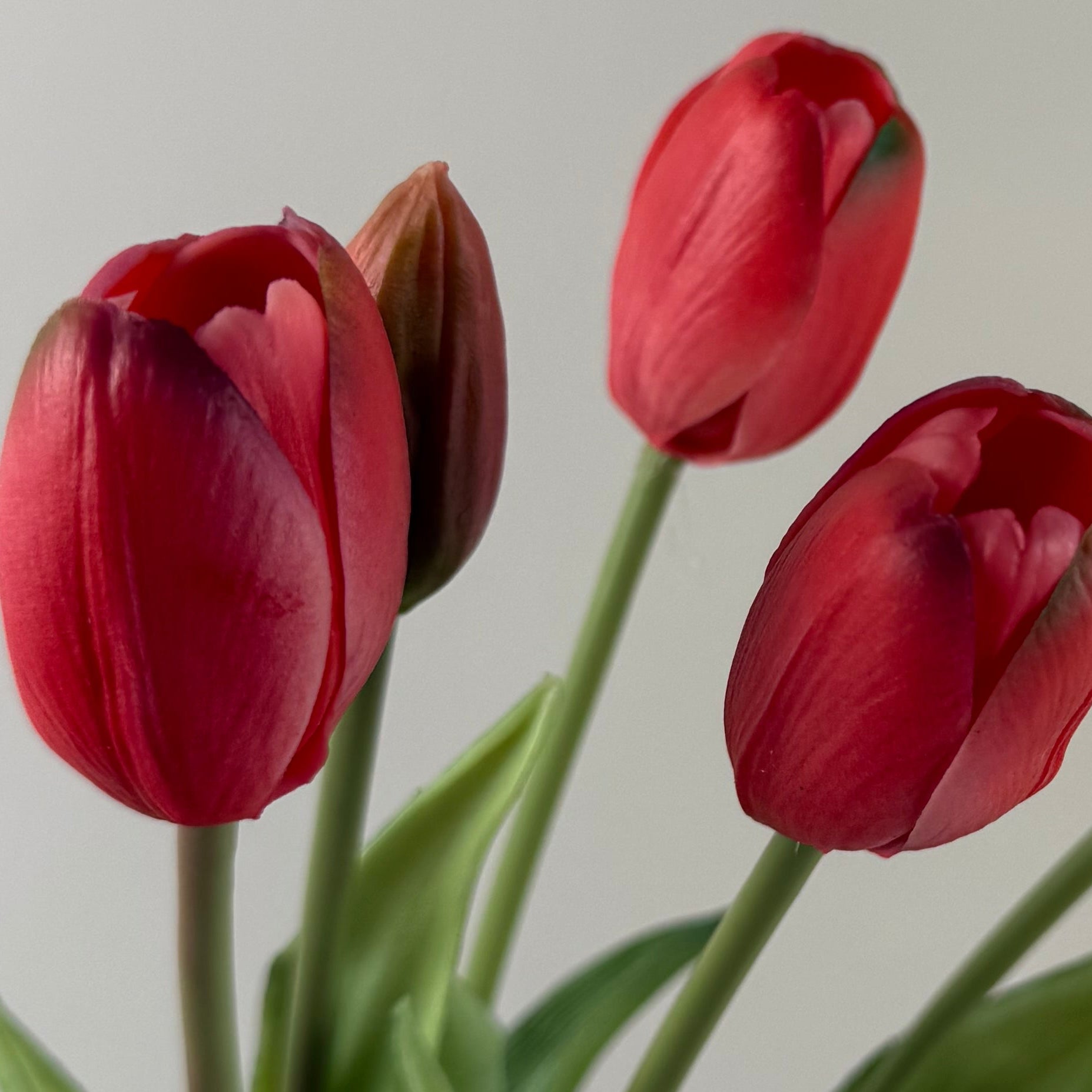Kunsttulpen Bos Dark Pink  – Real Look kunsttulpen Tulpen 40 cm – 5 stelen met bloem