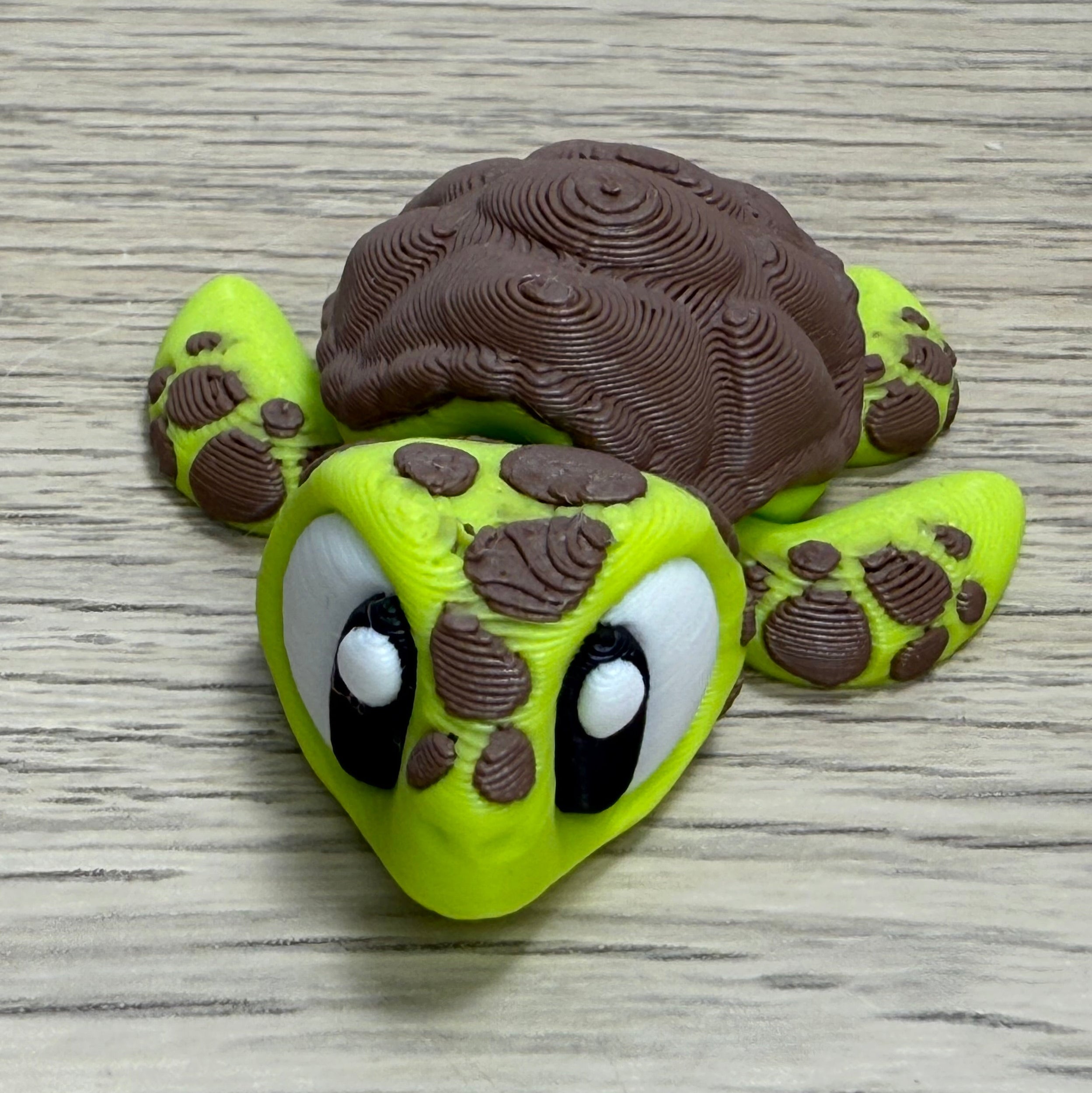 mini Zeeschildpad- Caretta caretta