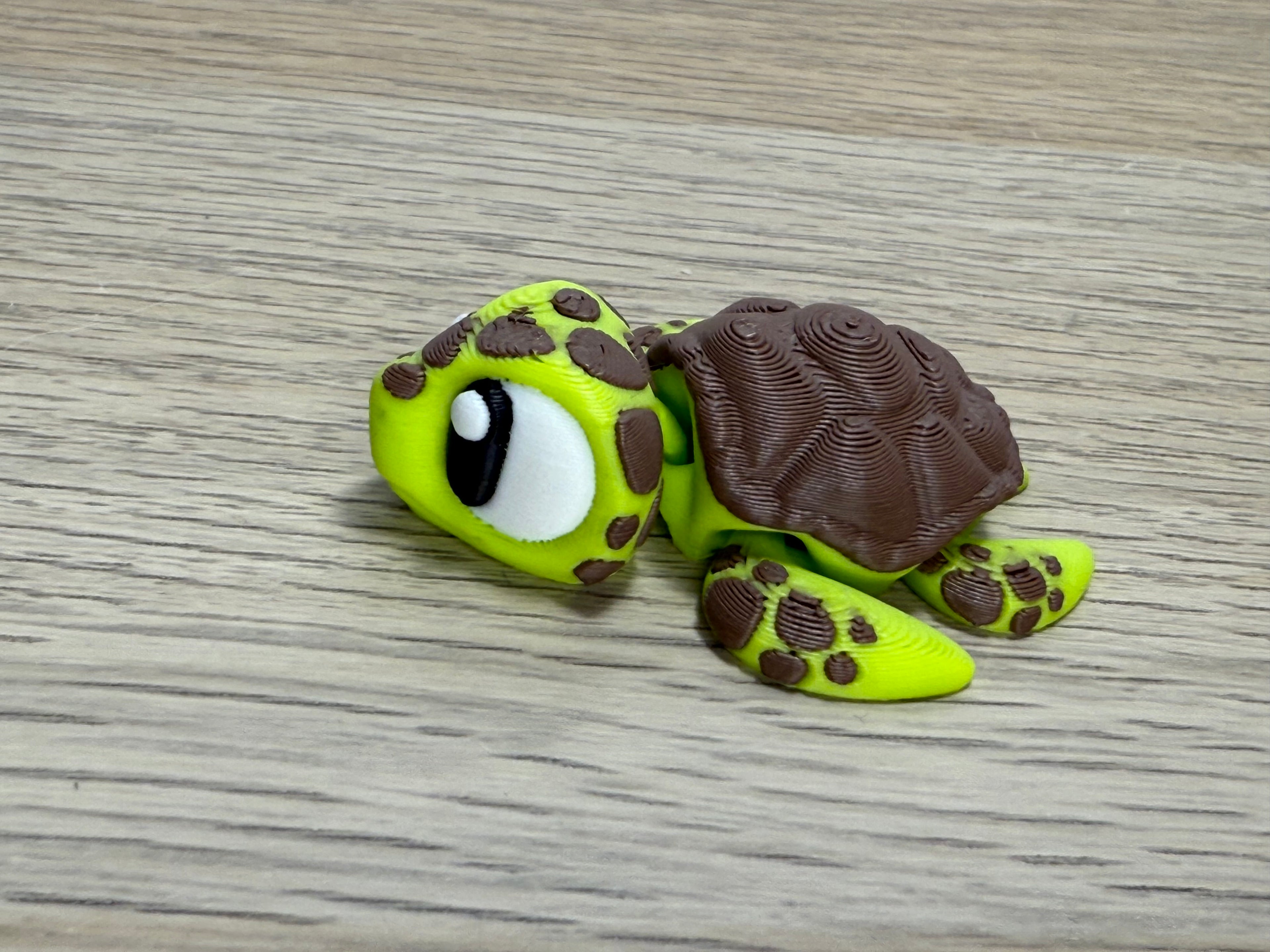 mini Zeeschildpad- Caretta caretta