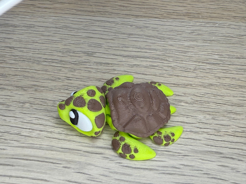 mini Zeeschildpad- Caretta caretta