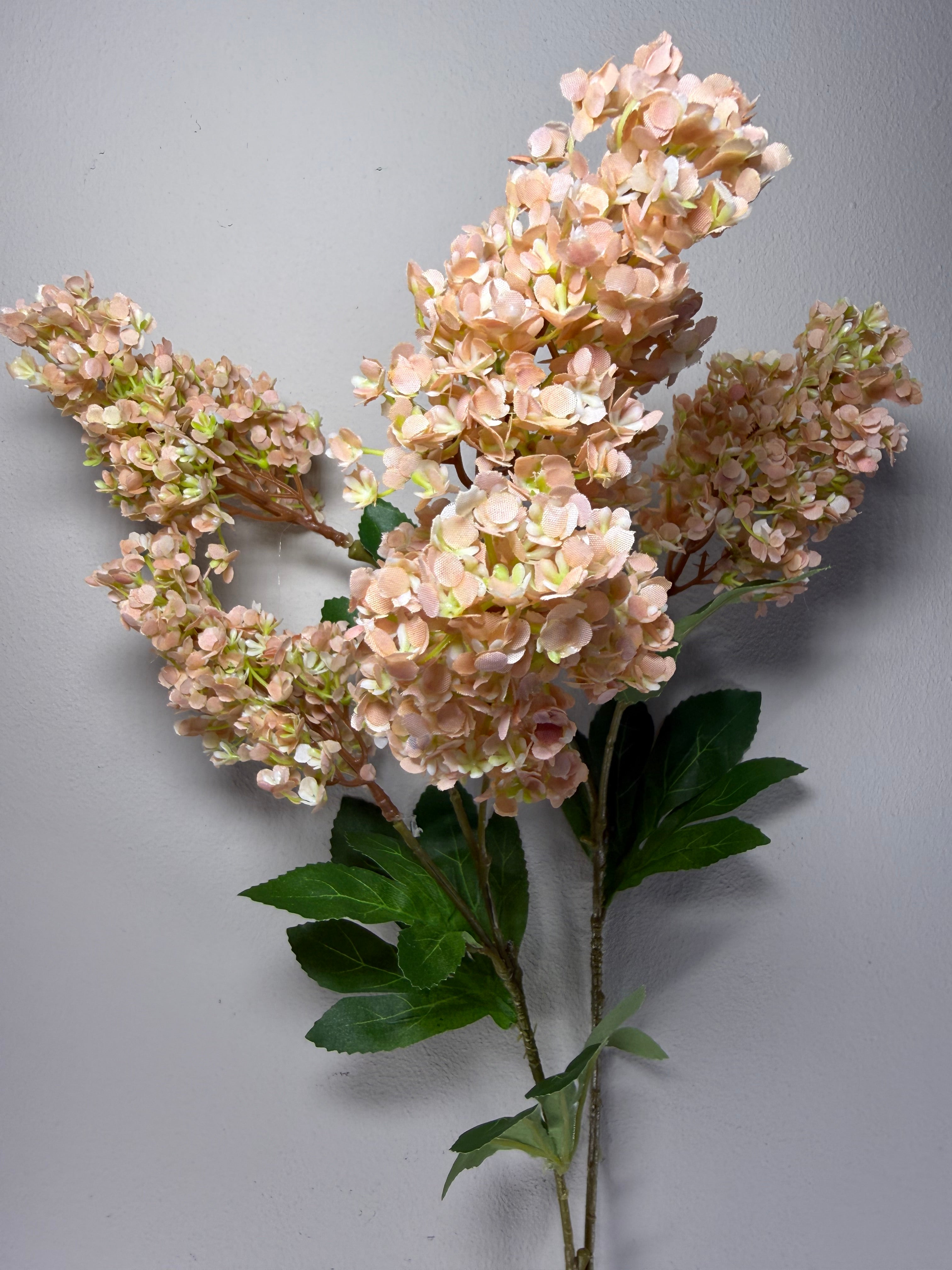 Hydrangea spray khaki grande 75 cm