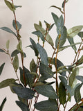 Salix green | .. cm