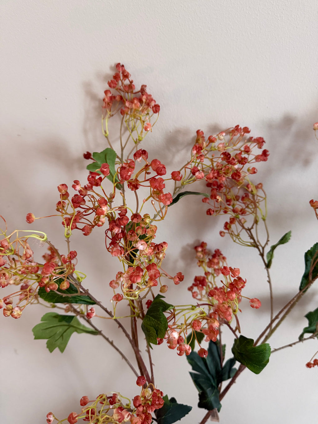 Winter daphne flowers da red 86 cm