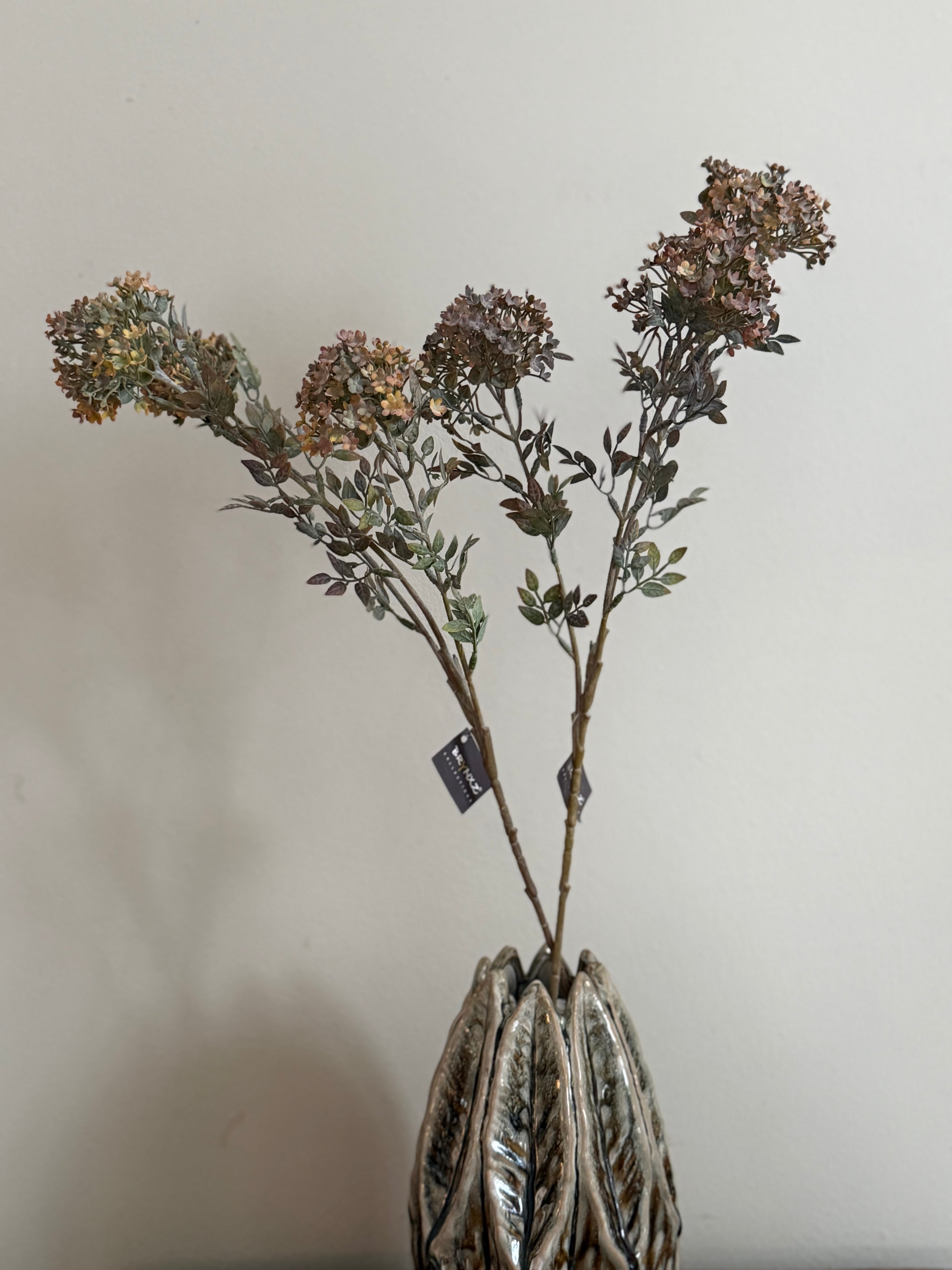 Bouvardia stem grey - 70 cm