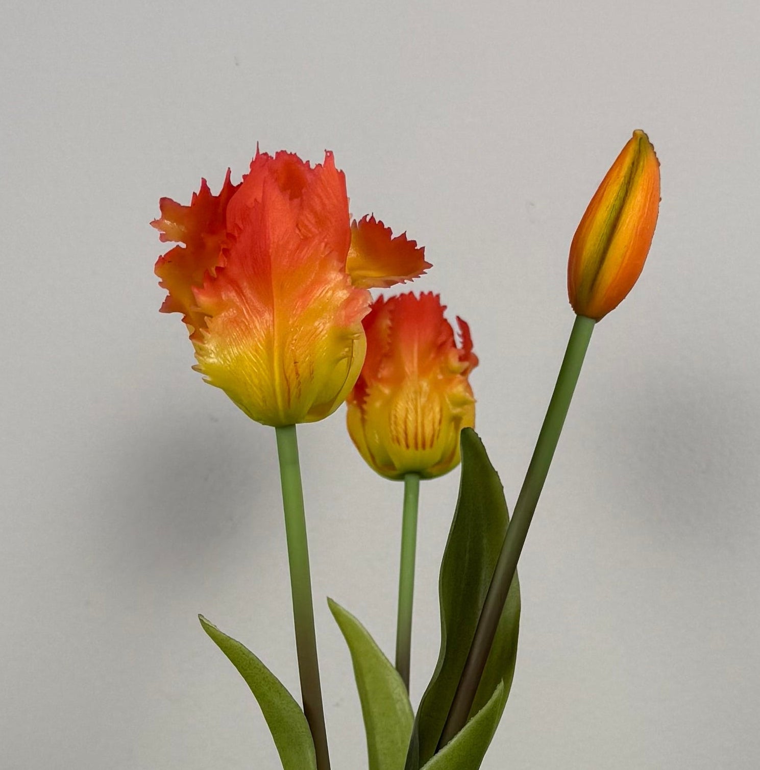 Vaas Bloem Rose M – countryfield