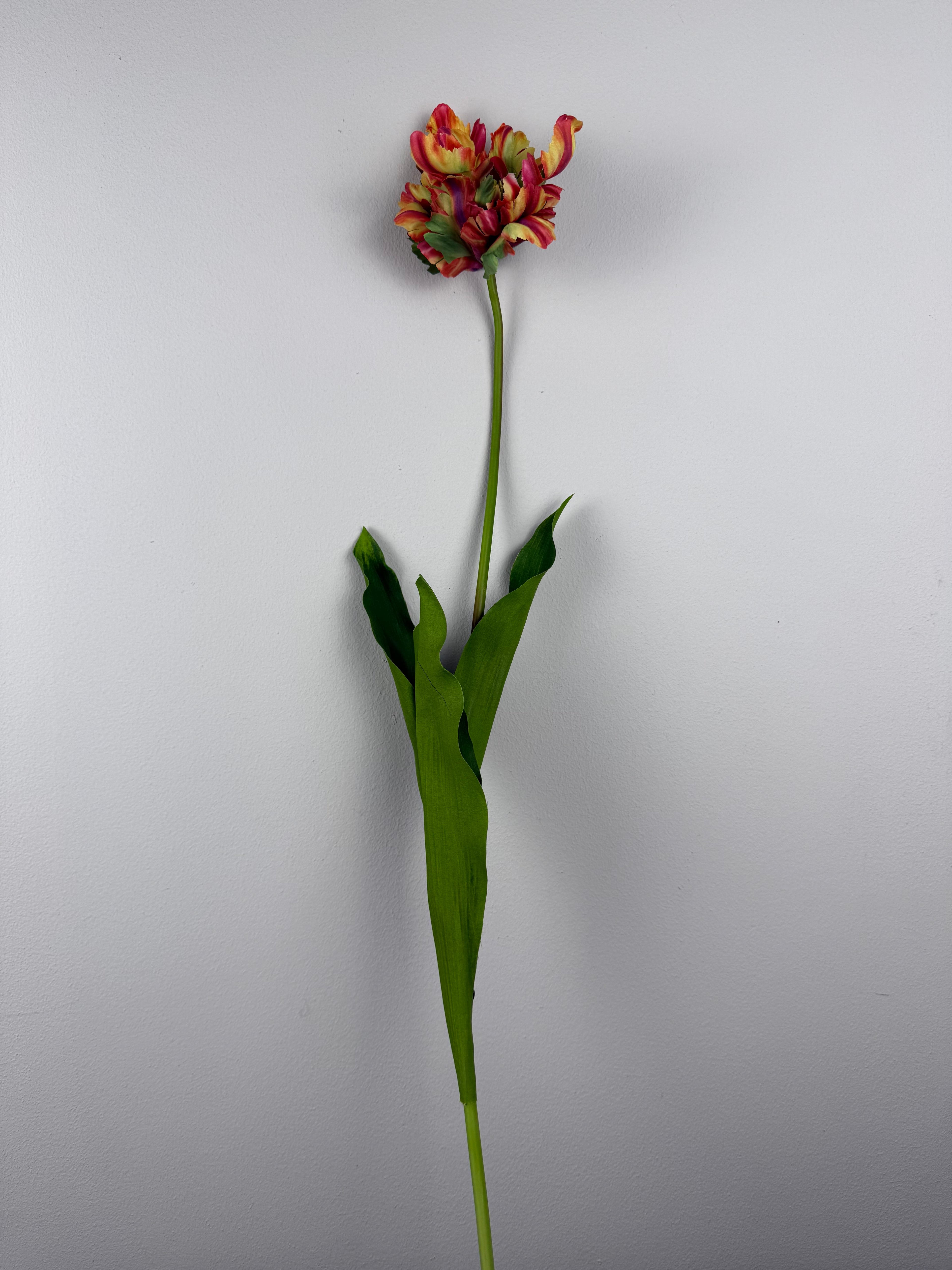 Franse Kunsttulp Tulipa - Countryfield