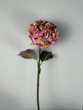 Hydrangea pink 70 cm