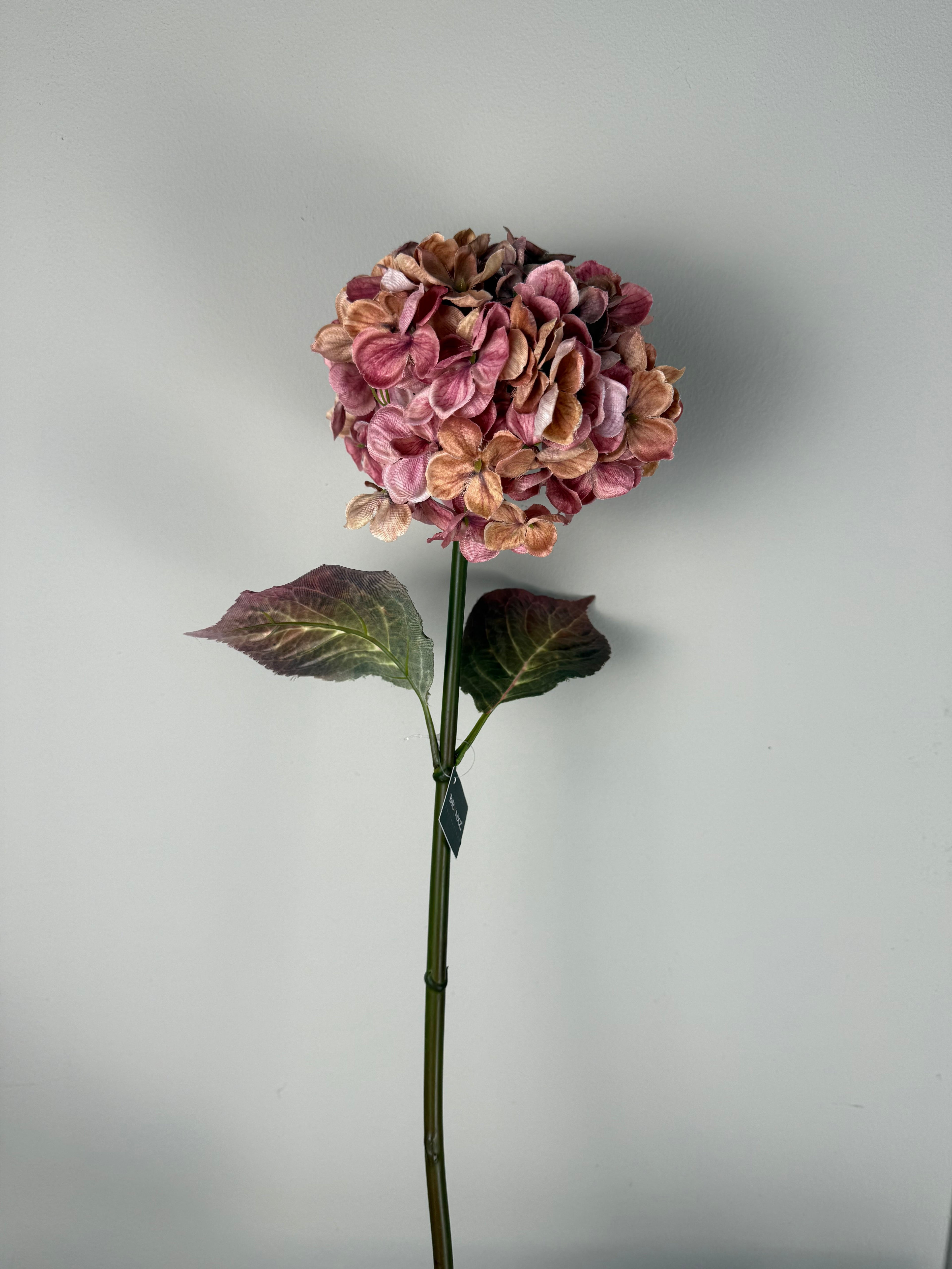 Hydrangea pink 70 cm