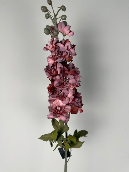 Delphinium ant.pink 75 cm