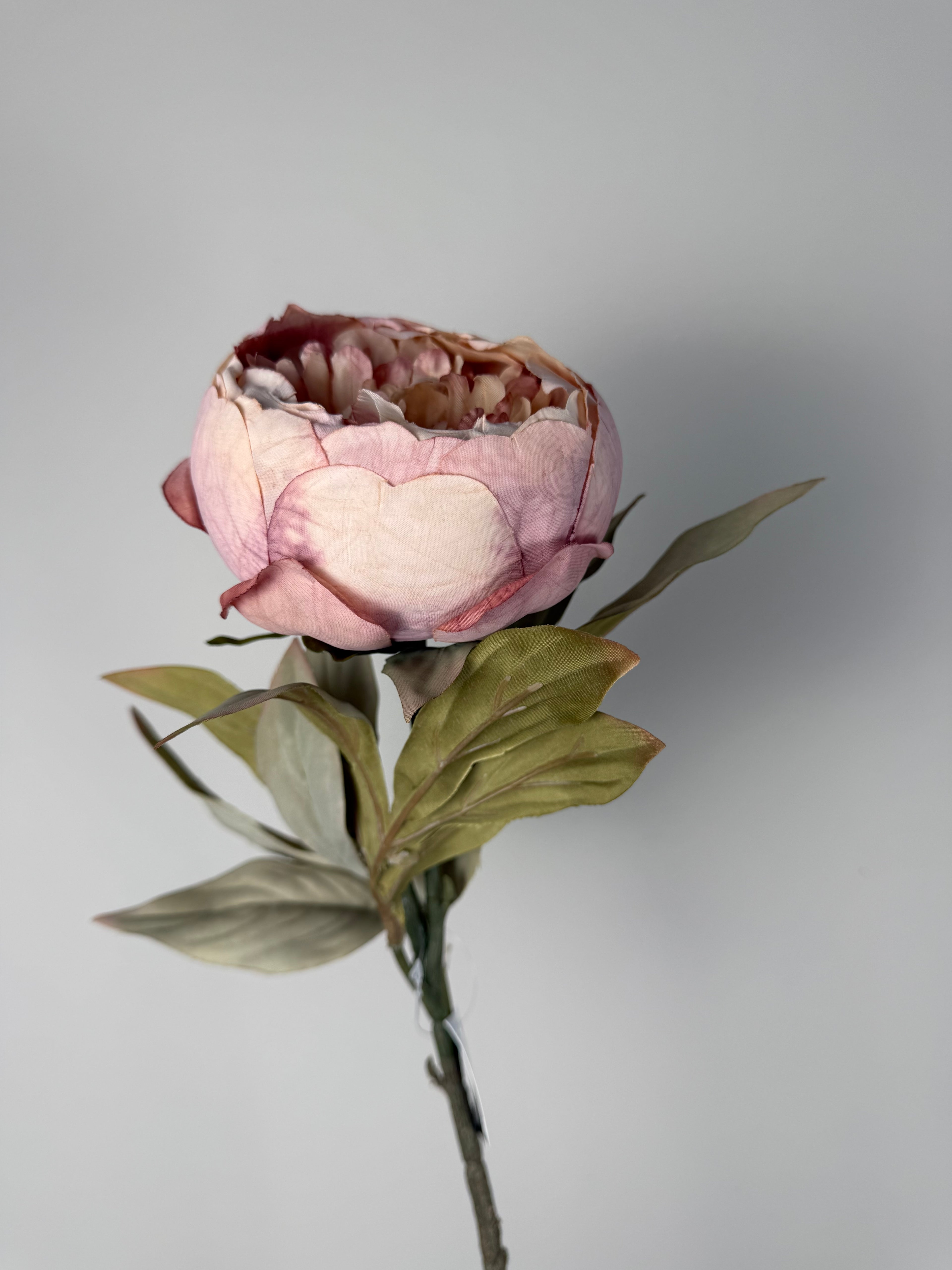 Peony cup ant.pink 80 cm