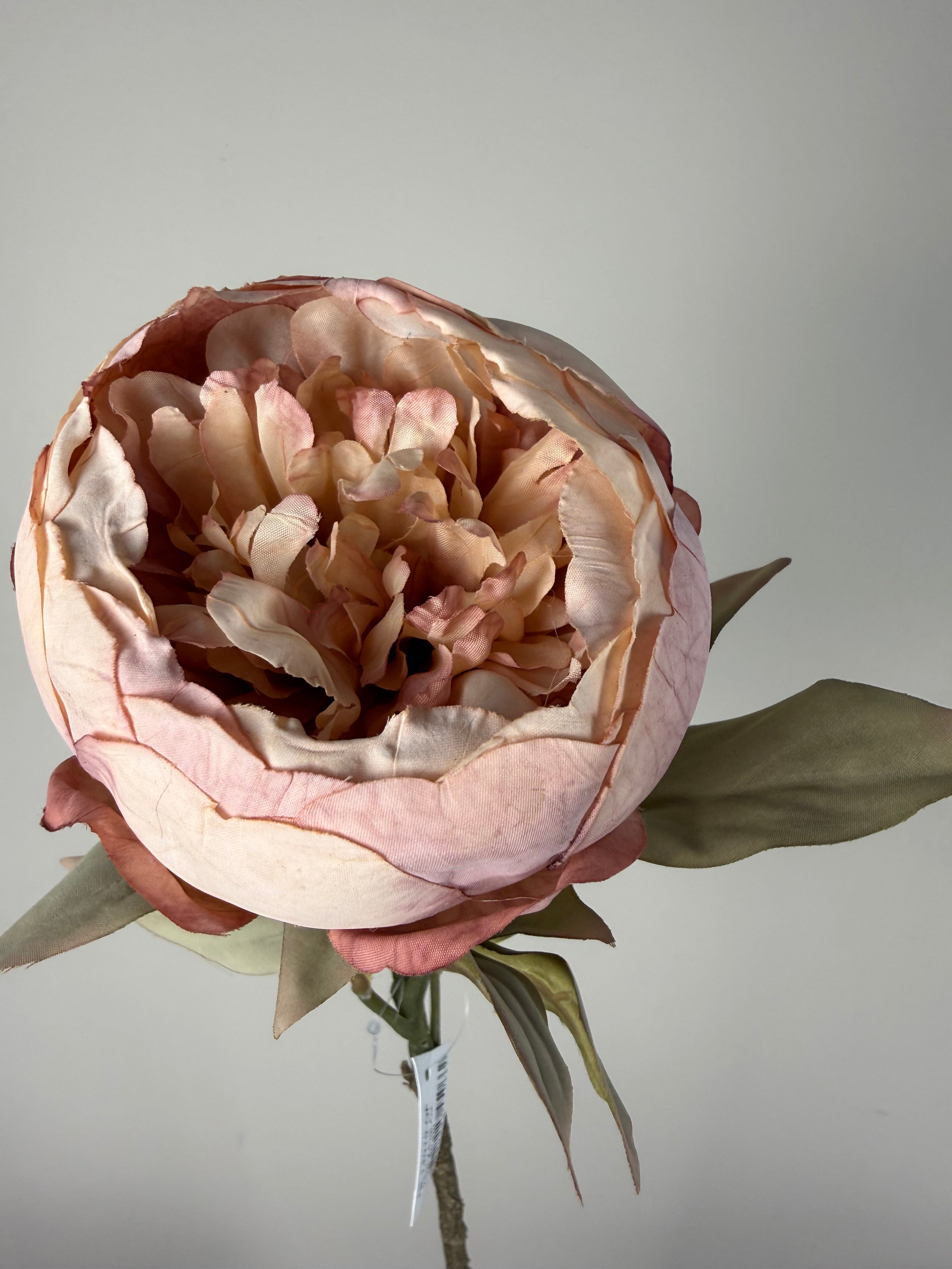 Peony cup ant.pink 80 cm