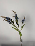 Pieris blue 50 cm