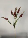 Pieris red 50 cm
