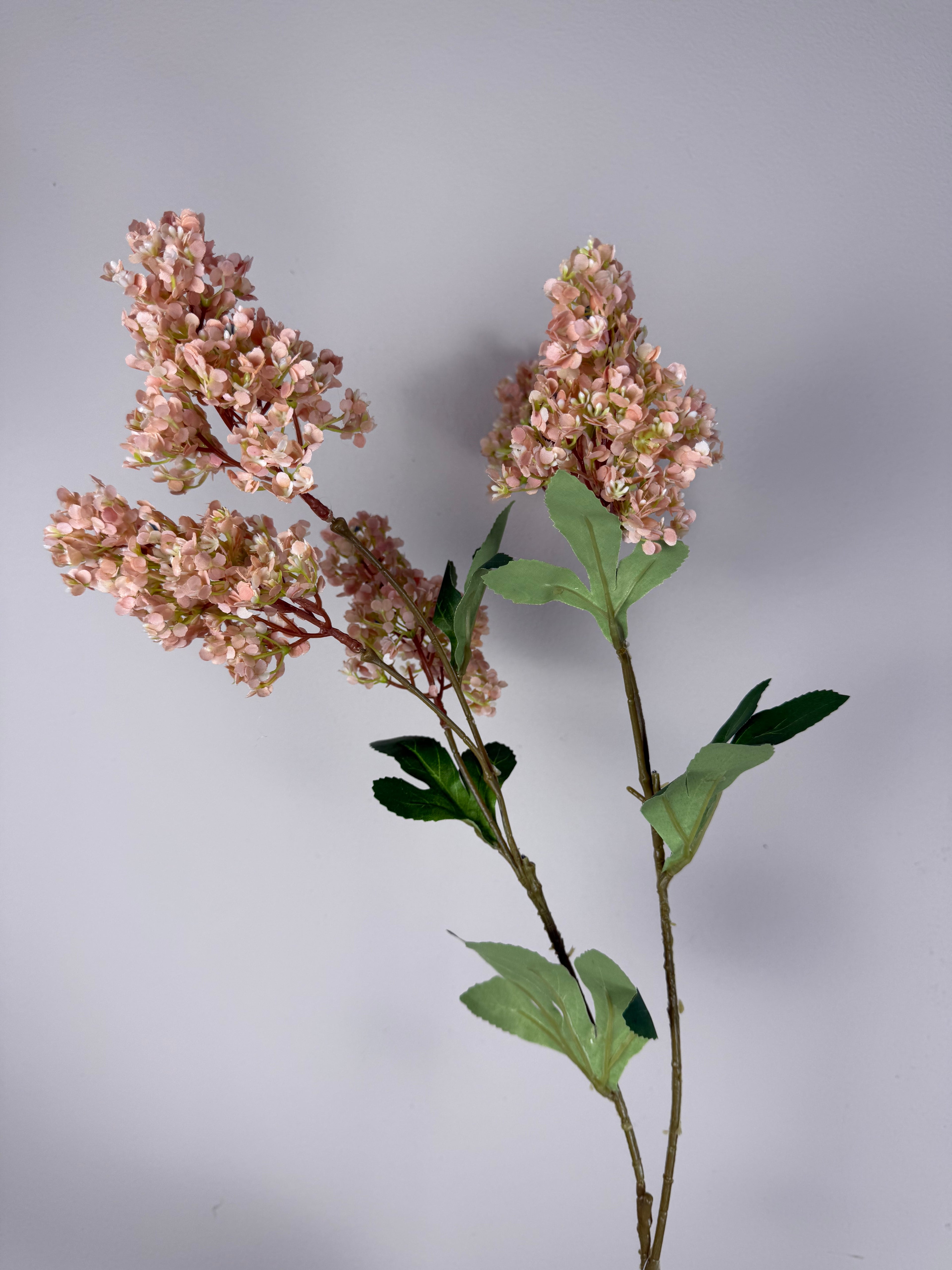 Hydrangea spray khaki grande 75 cm