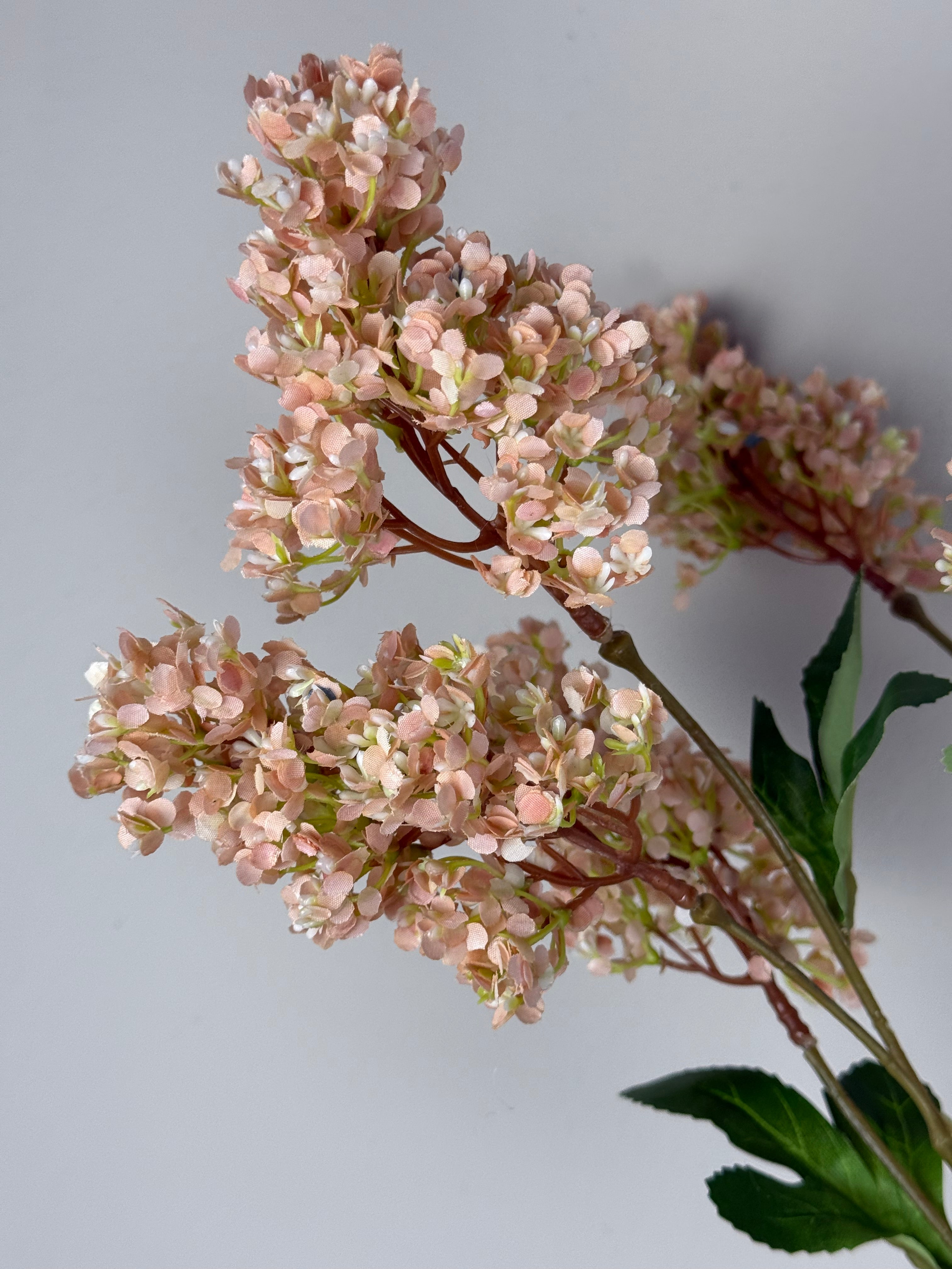 Hydrangea spray khaki grande 75 cm