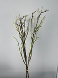 Salix  bosje-3 takken