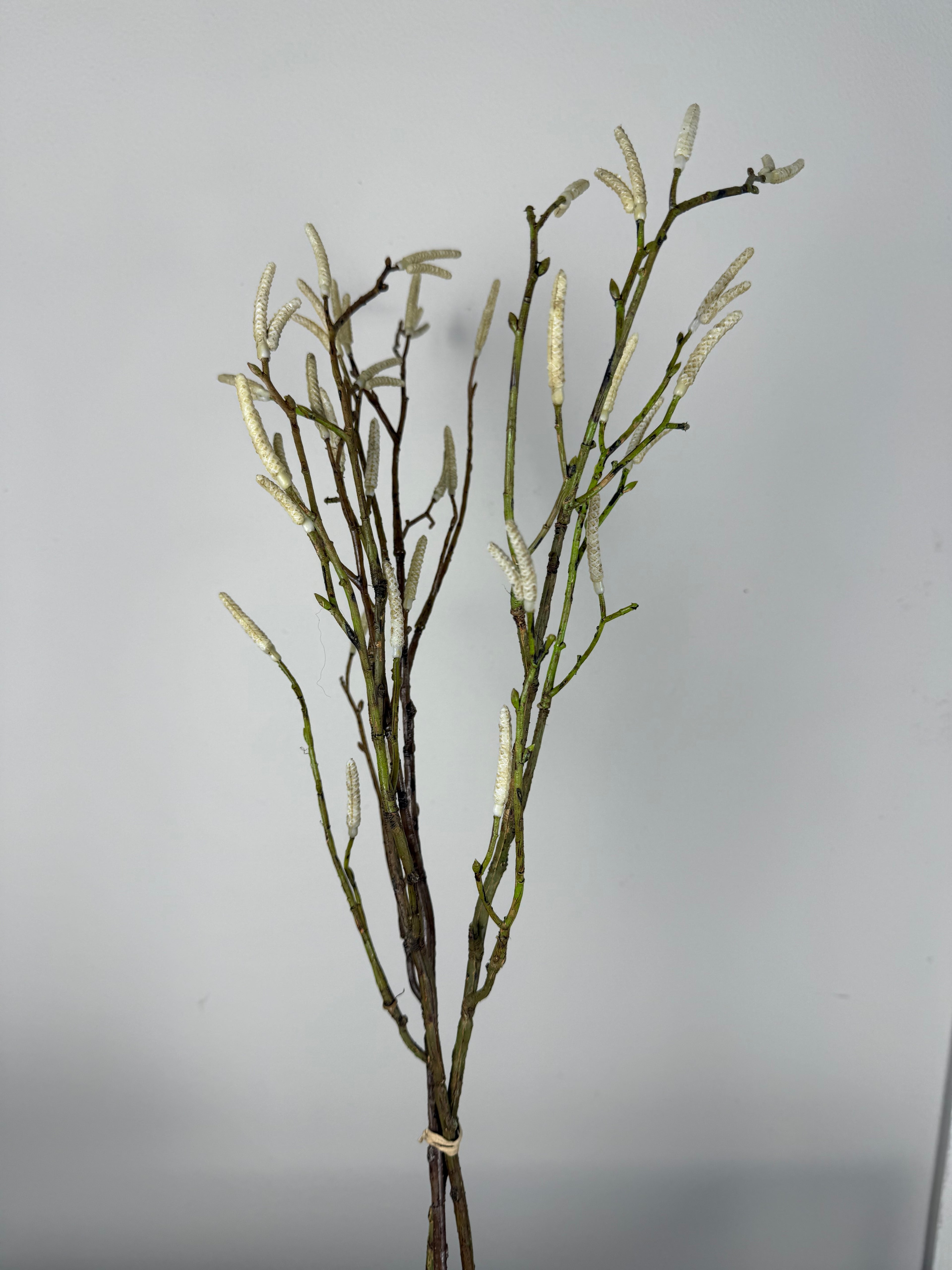 Salix  bosje-3 takken