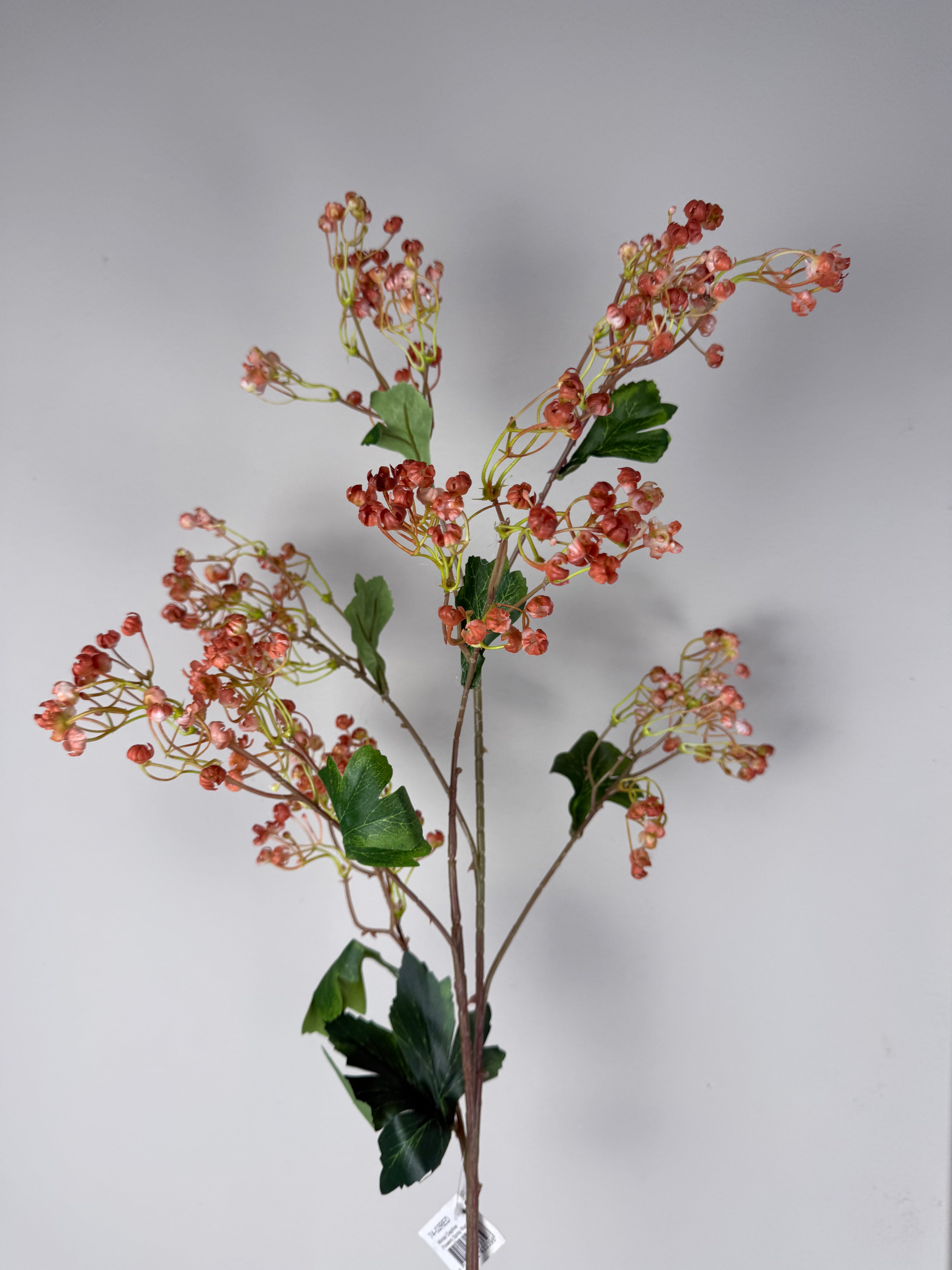 Winter daphne flowers da red 86 cm