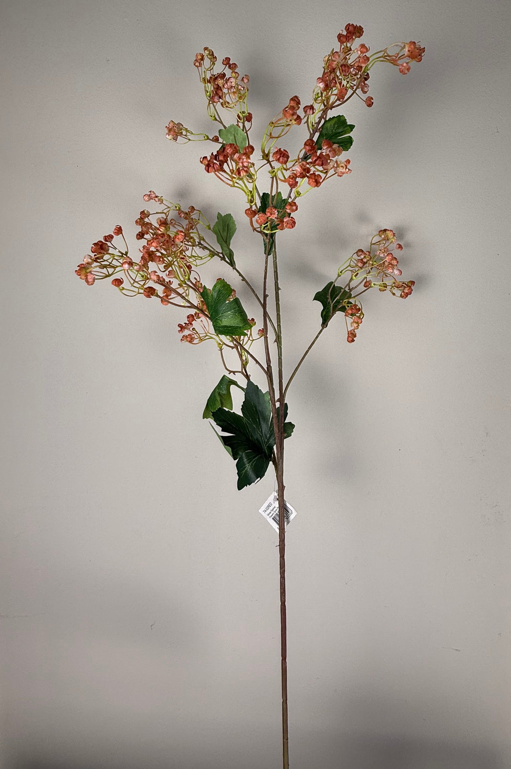 Winter daphne flowers da red 86 cm