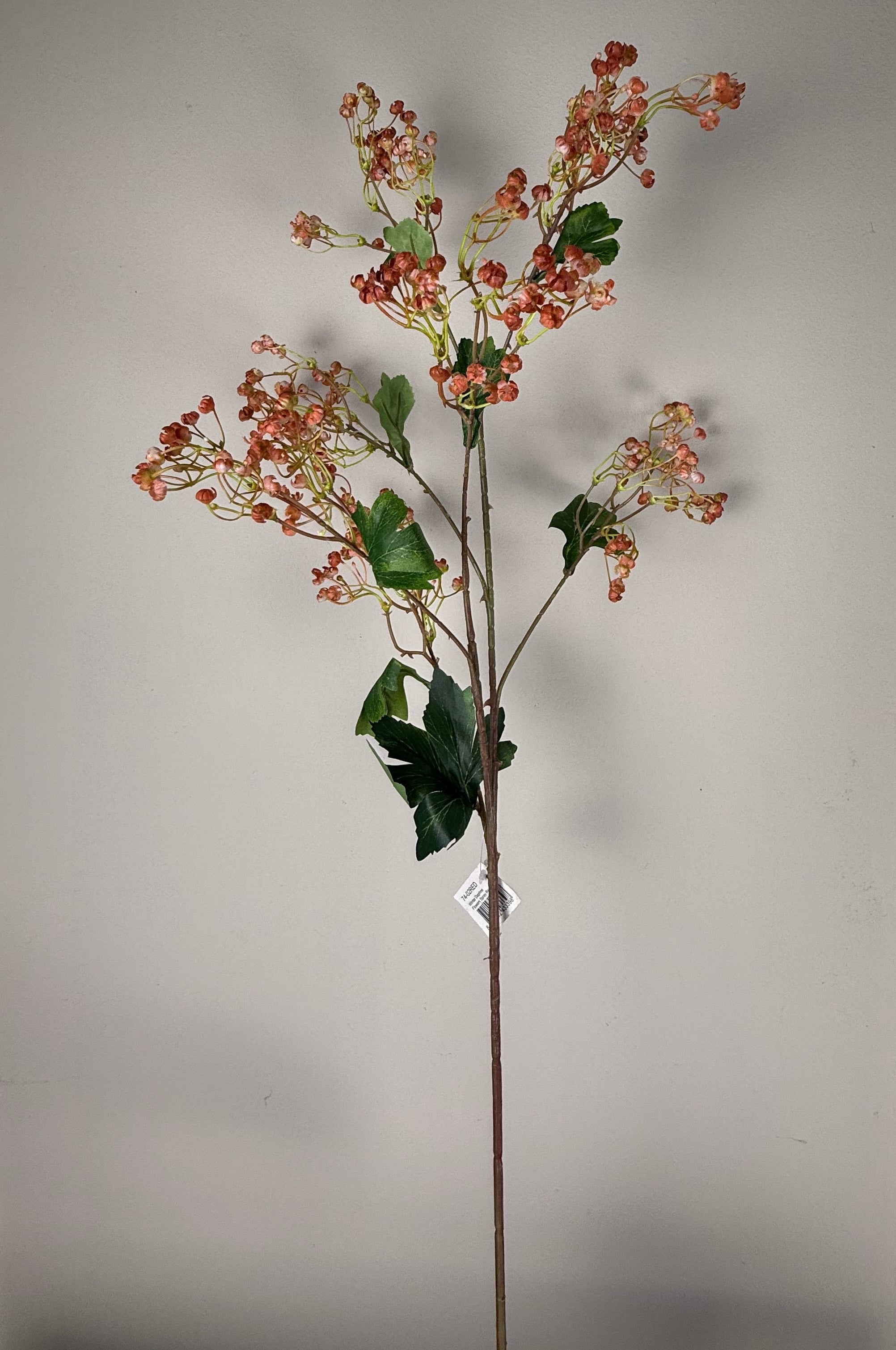 Winter daphne flowers da red 86 cm