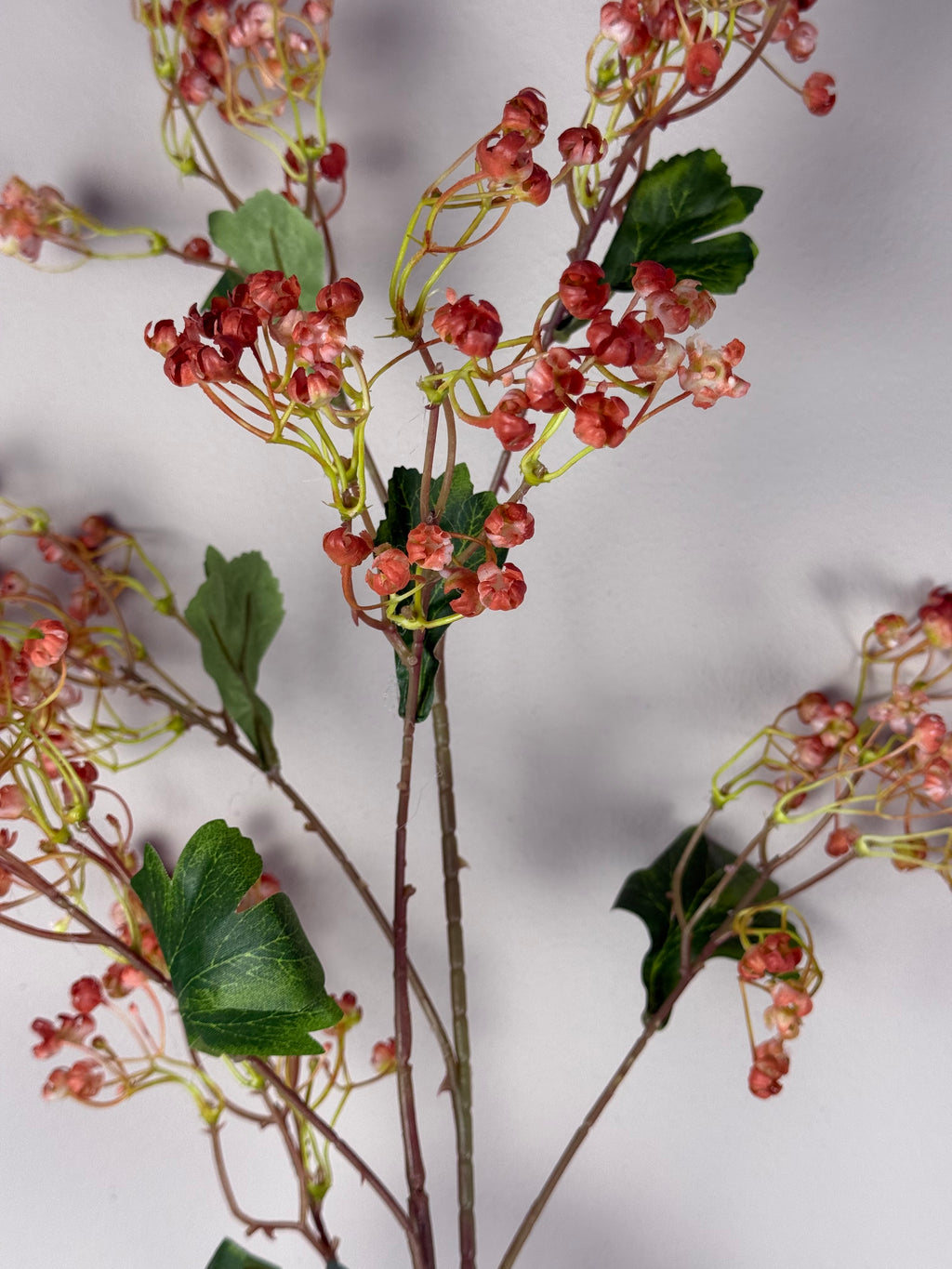 Winter daphne flowers da red 86 cm