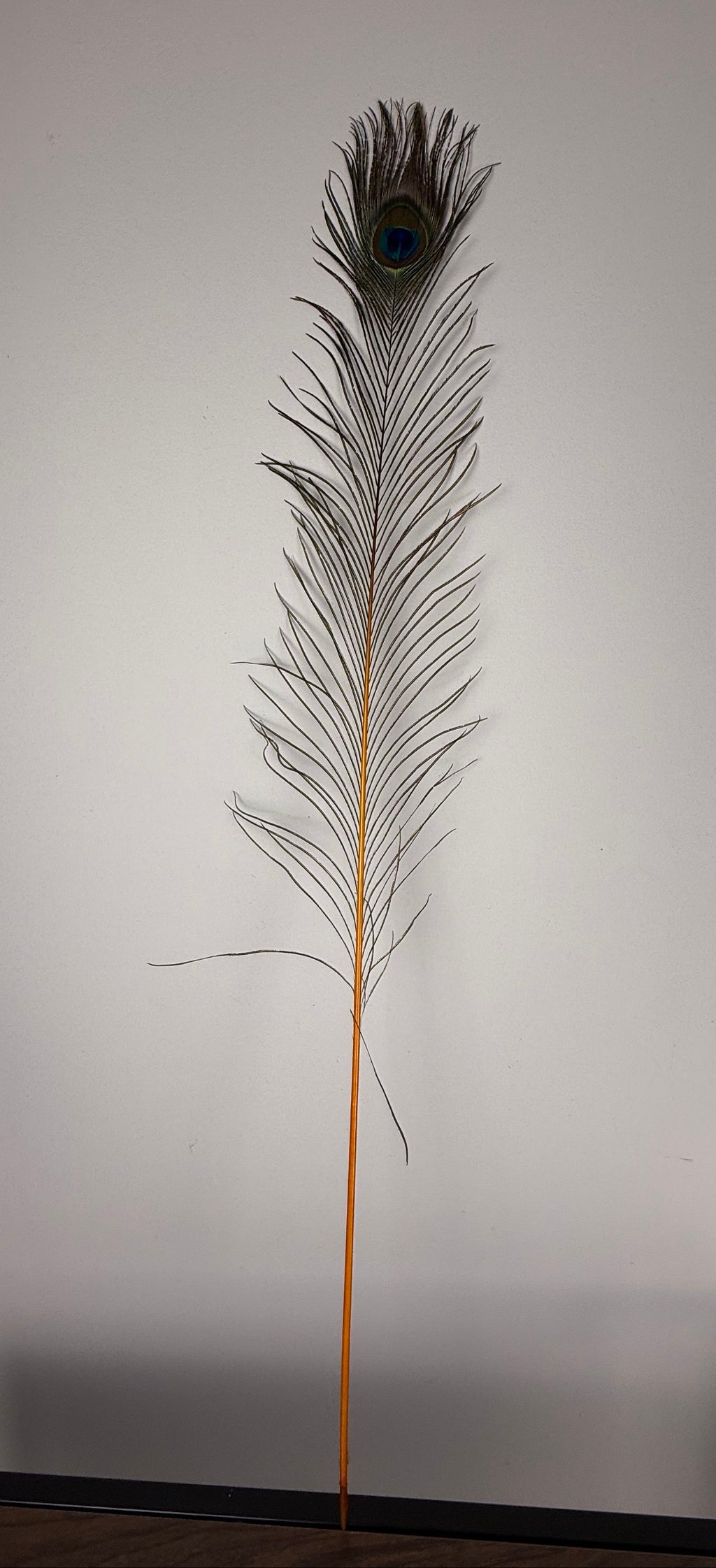 Feather peacock L90 orange