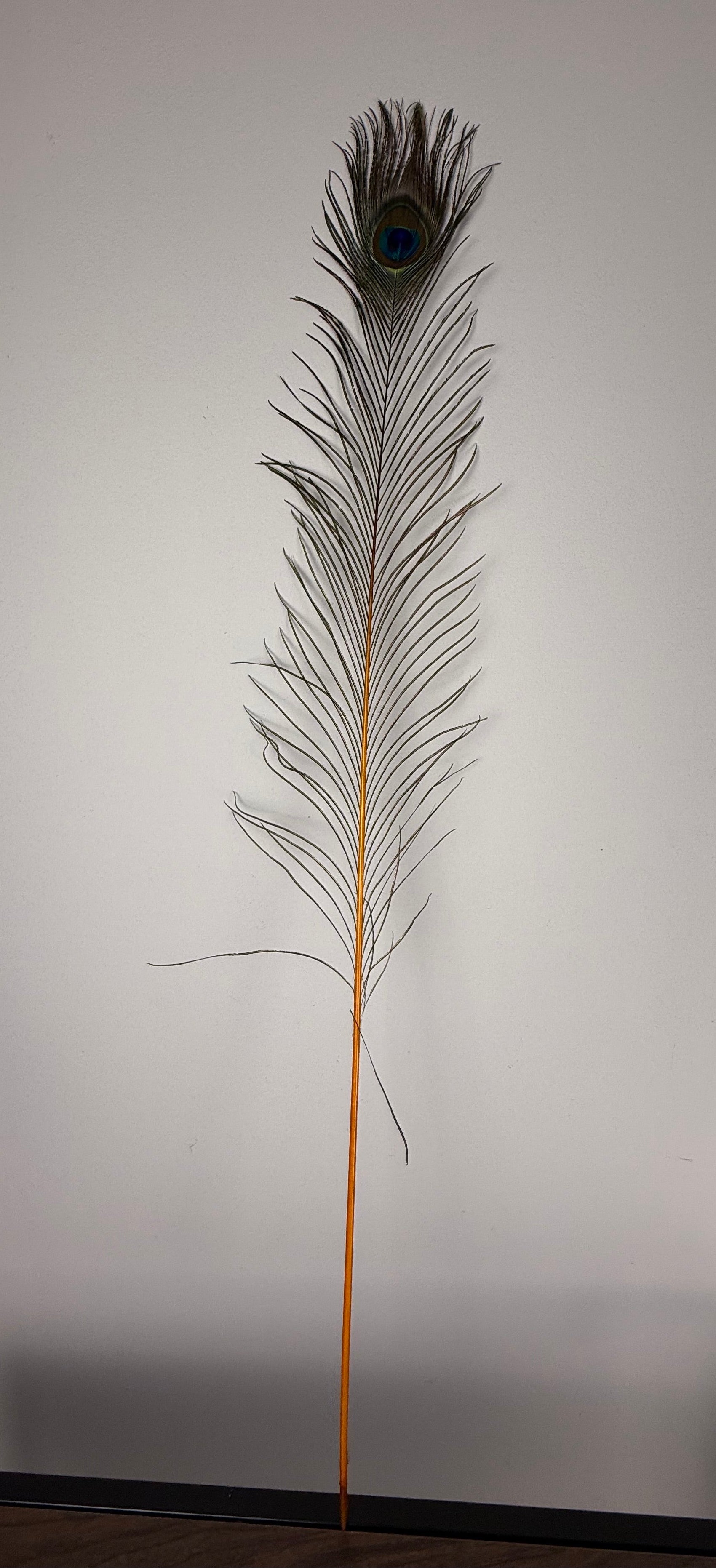 Feather peacock L90 orange