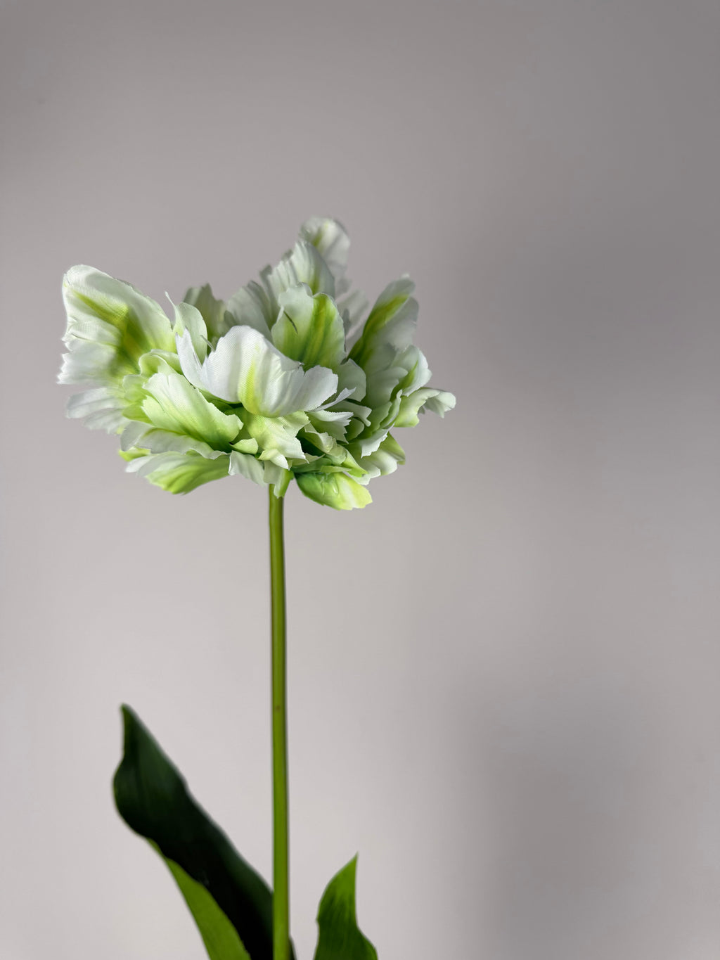 Franse kunstbloem groen/wit Tulp Tulipa -Countryfield