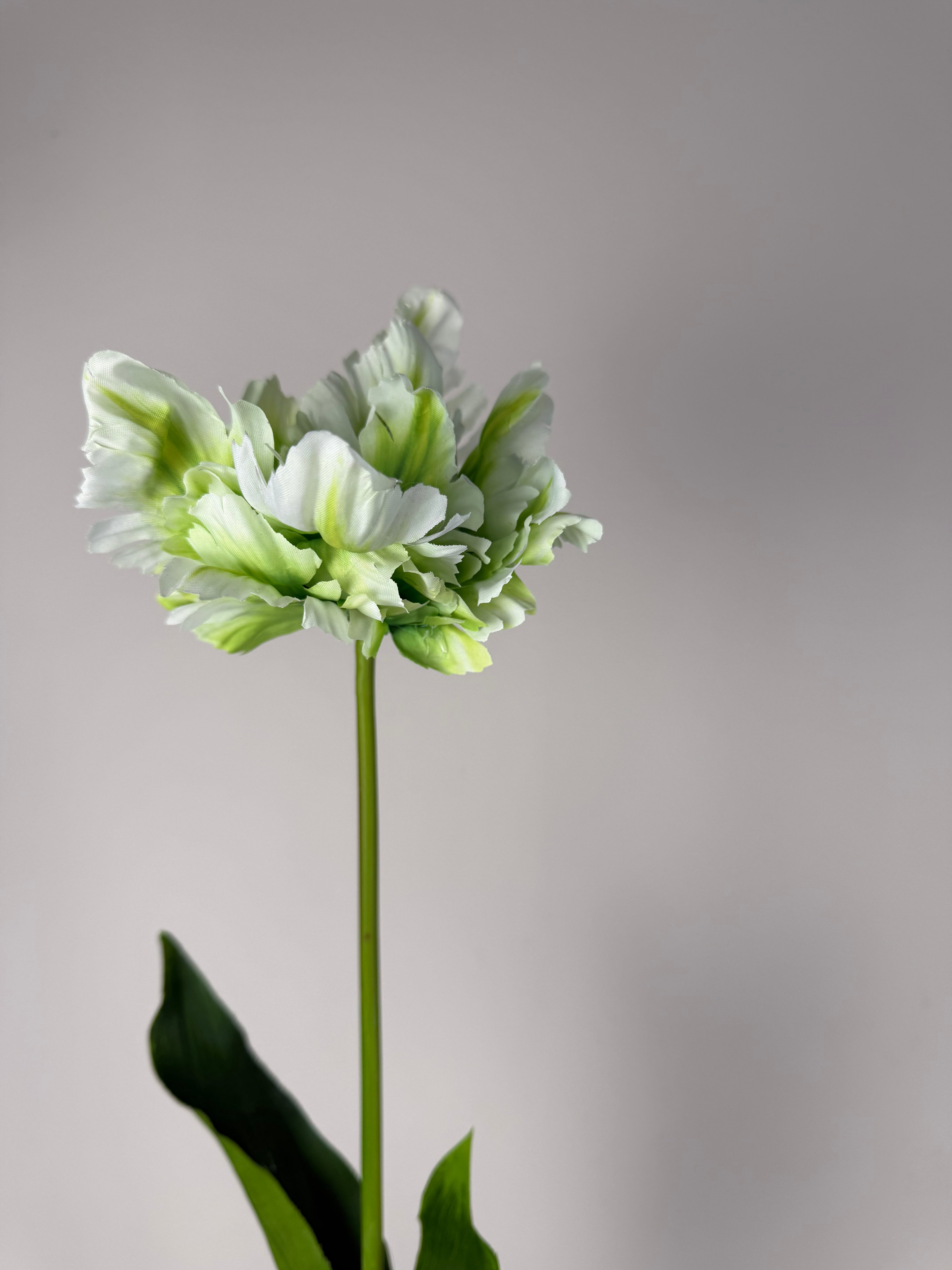 Franse kunstbloem groen/wit Tulp Tulipa -Countryfield