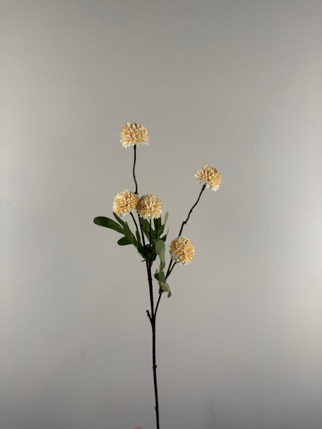 Kunstbloem Tak Pompom met Blad Cream – Zijdebloem 52 cm – Natuurlijke Bloemendecoratie