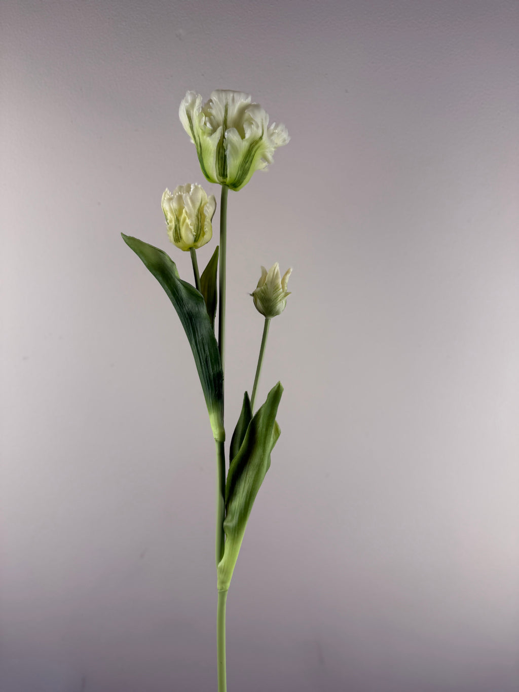 Kunsttulp Parrot Sally Cream – Real touch kunst Tulpen Tak 71 cm – Realistische Kunstbloem