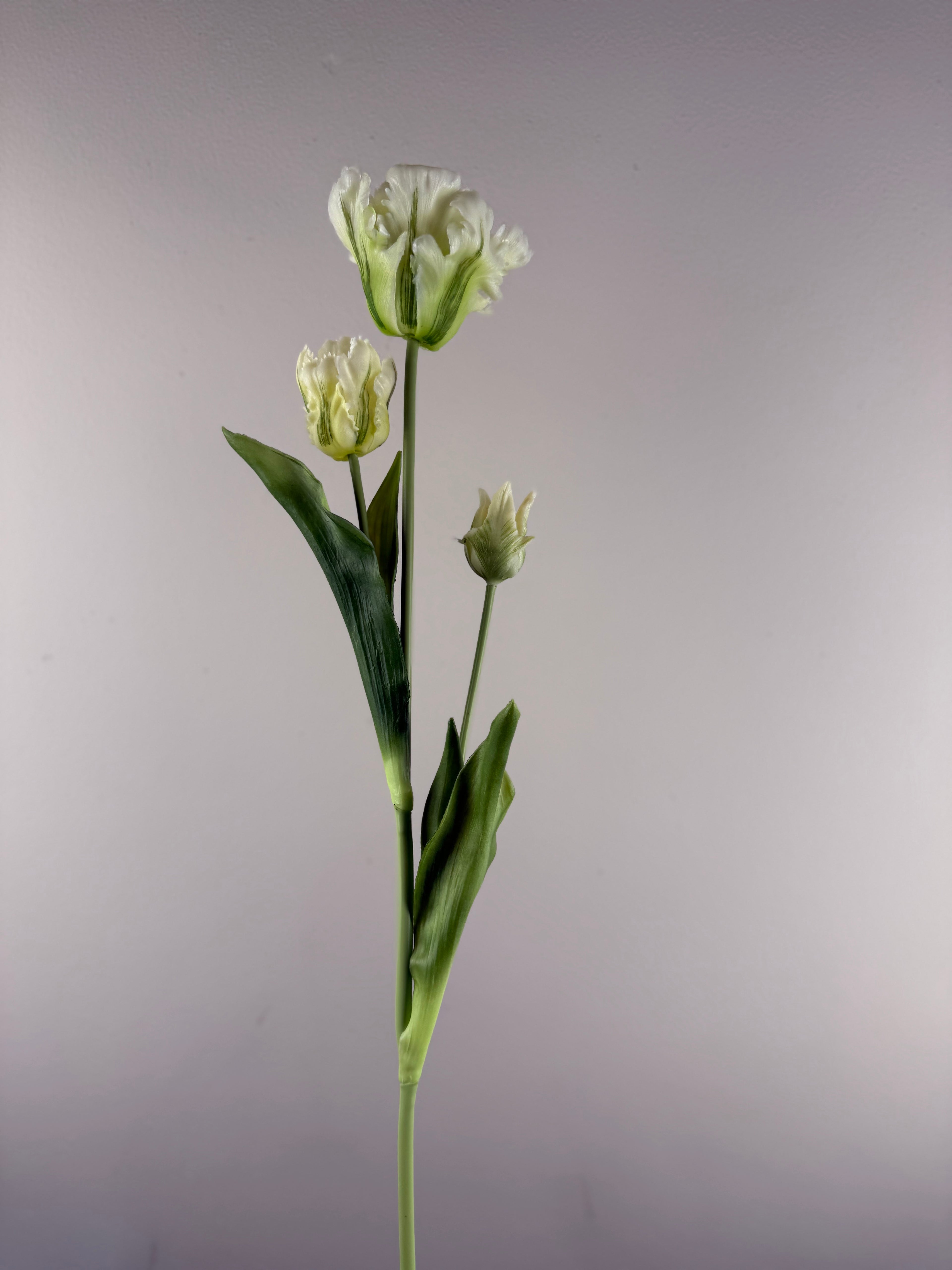 Kunsttulp Parrot Sally Cream – Real touch kunst Tulpen Tak 71 cm – Realistische Kunstbloem