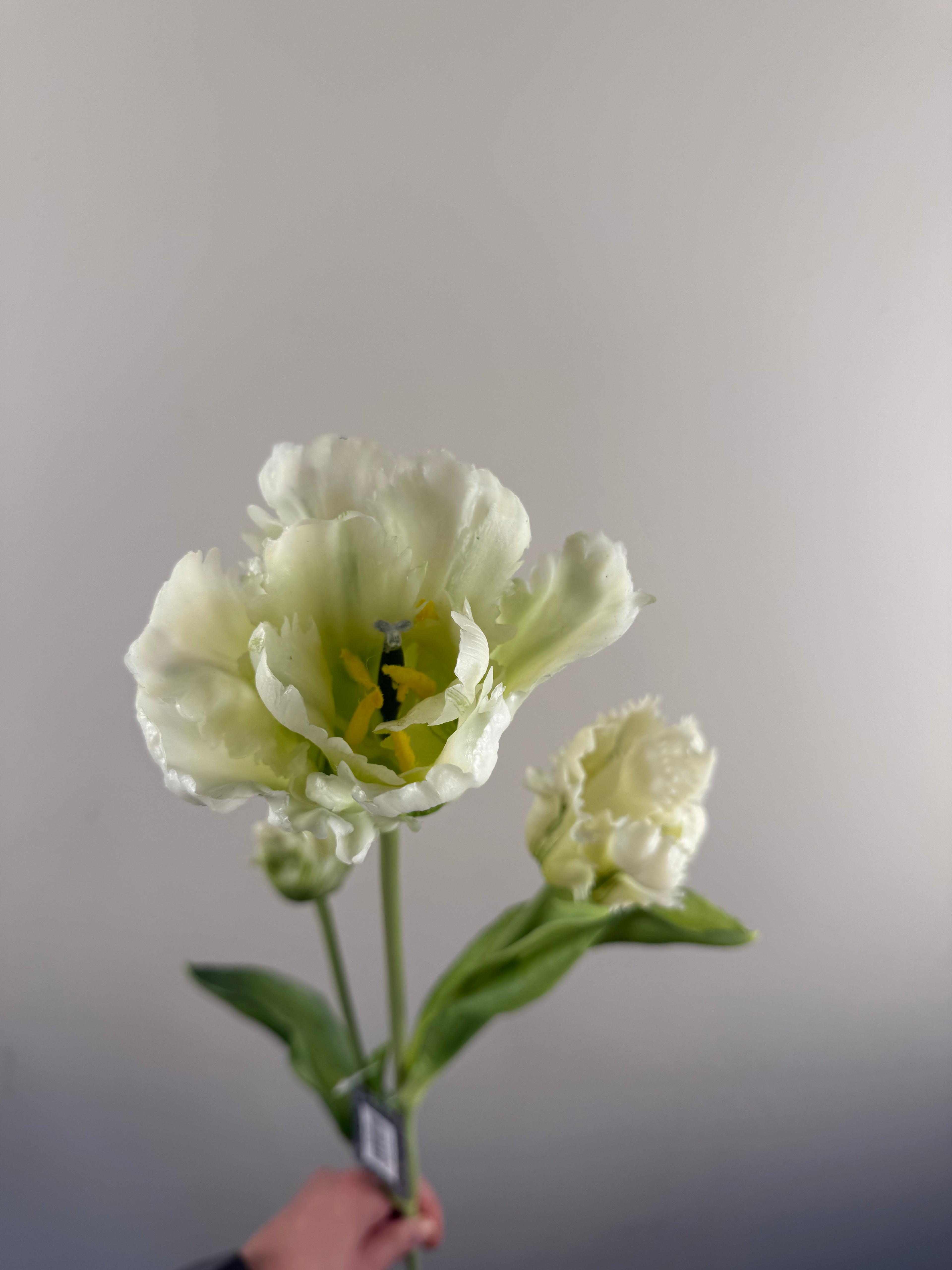 Kunsttulp Parrot Sally Cream – Real touch kunst Tulpen Tak 71 cm – Realistische Kunstbloem