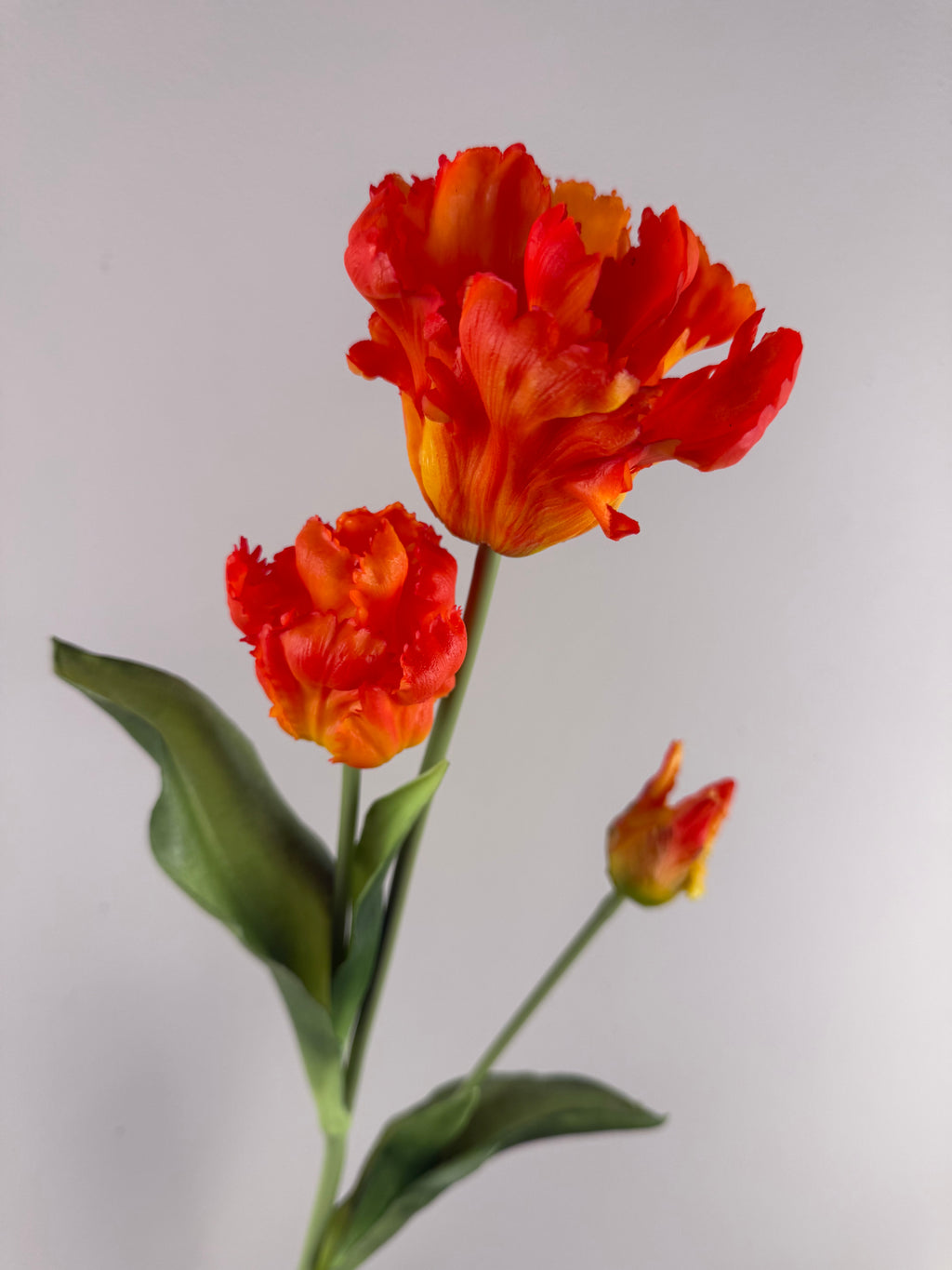Kunsttulp Parrot Sally Orange – Real touch kunst Tulpen Tak 71 cm – 3 Bloemen per Tak
