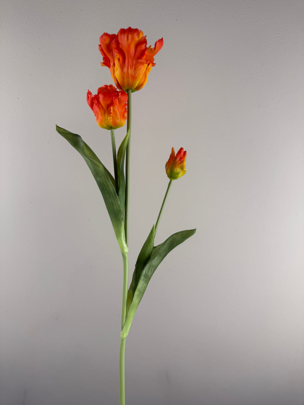 Kunsttulp Parrot Sally Orange – Real touch kunst Tulpen Tak 71 cm – 3 Bloemen per Tak