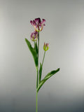 Kunsttulp Parrot Sally Purple – Real touch kunst Tulpen Tak 71 cm – 3 Bloemen per Tak