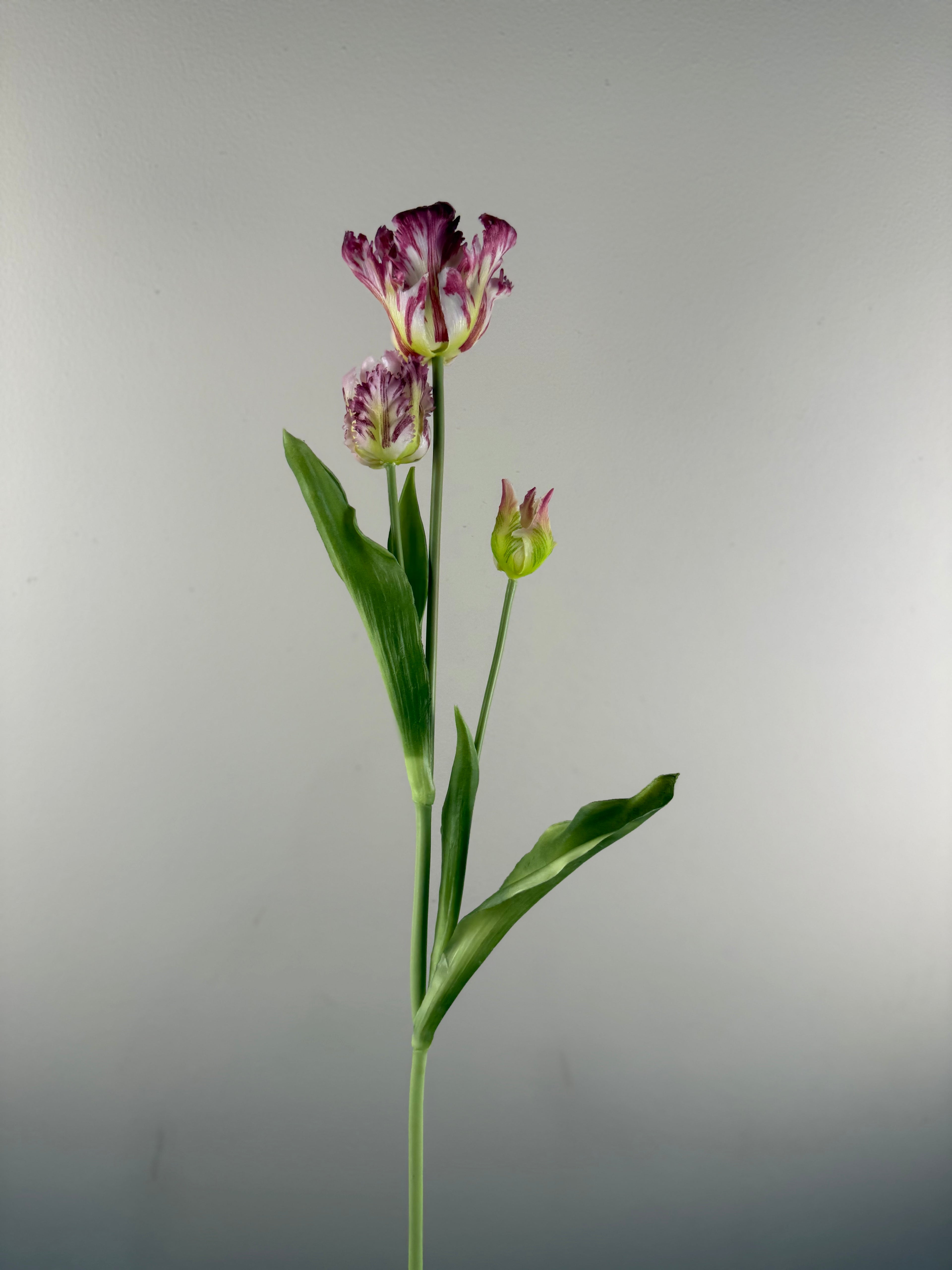 Kunsttulp Parrot Sally Purple – Real touch kunst Tulpen Tak 71 cm – 3 Bloemen per Tak