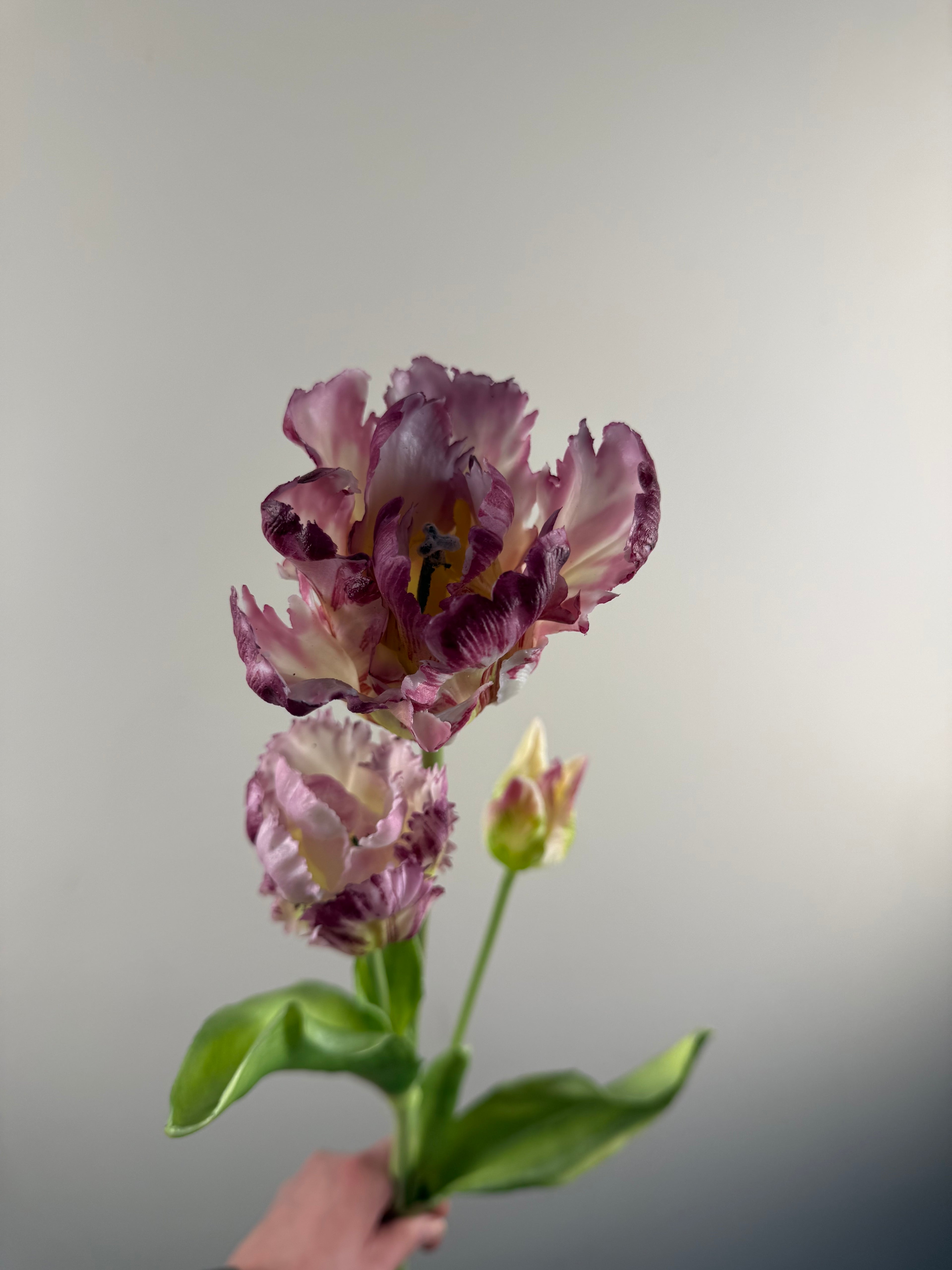 Kunsttulp Parrot Sally Purple – Real touch kunst Tulpen Tak 71 cm – 3 Bloemen per Tak