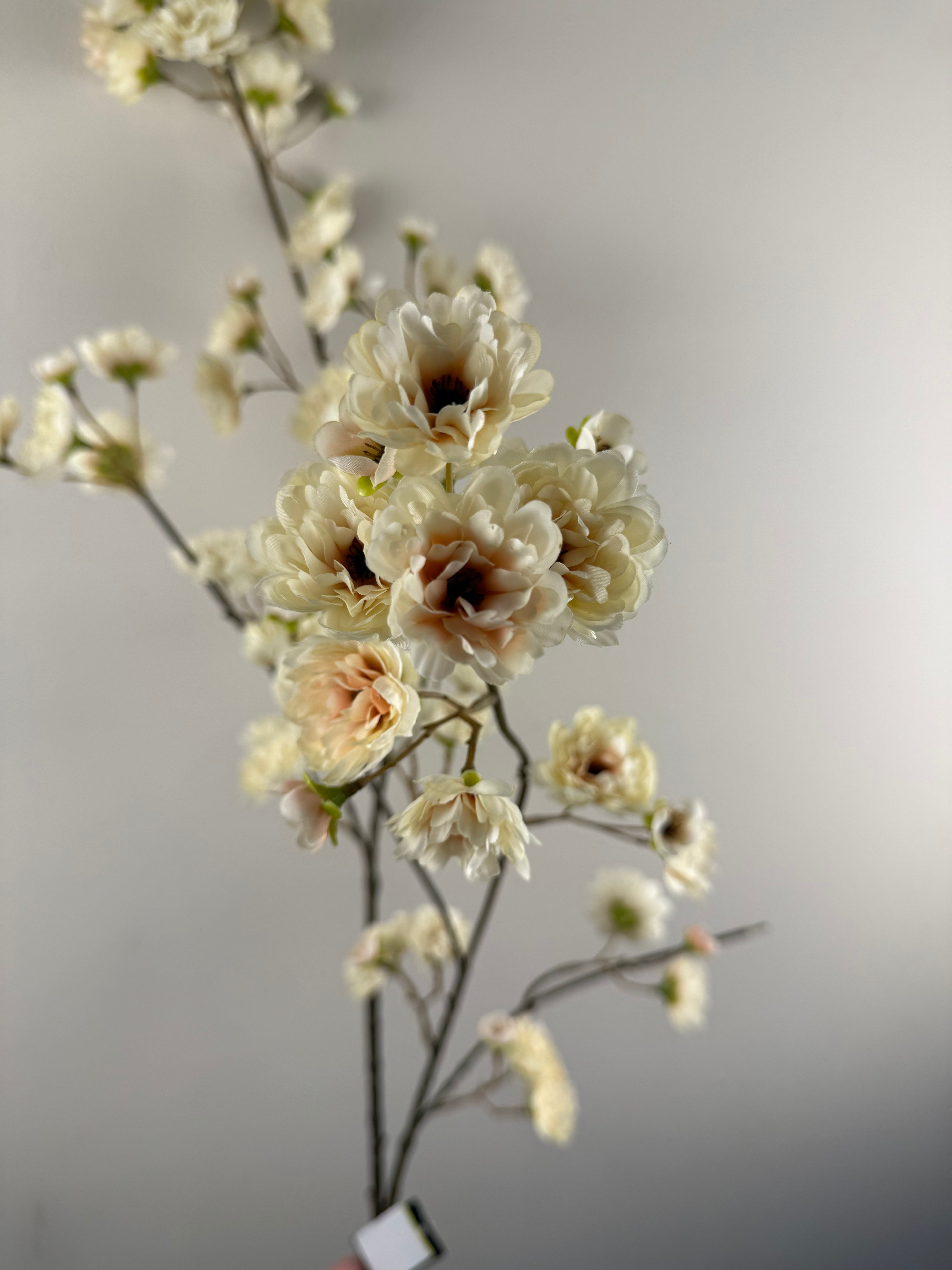 Kunsttak Blossom Cream 110 cm – Luxe Bloesem Tak – Extra Lang & Zeer Realistisch