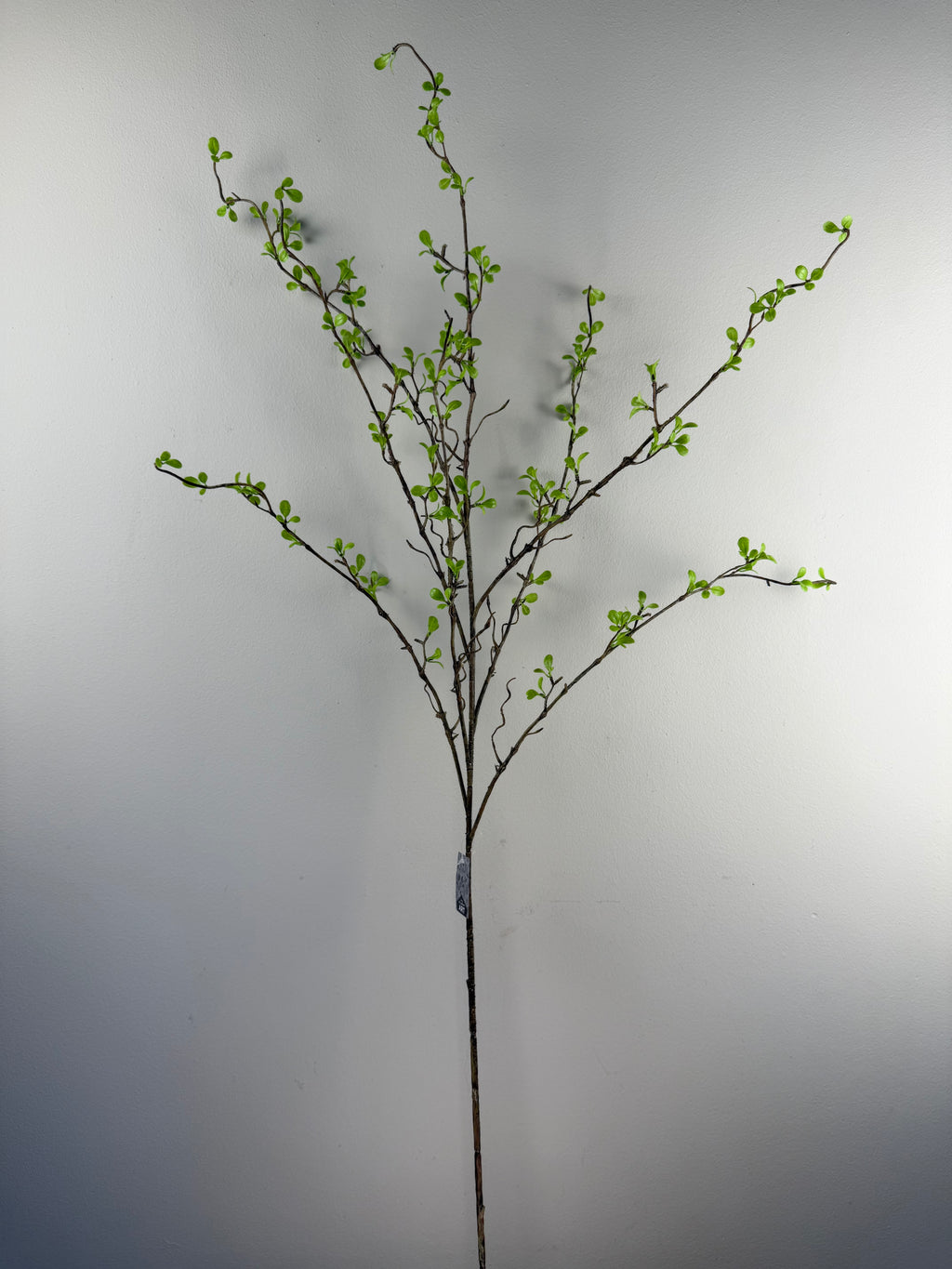 Kunsttak Spring Fresh Leaf Spray Green 130 cm – Lange Groene Bladertak