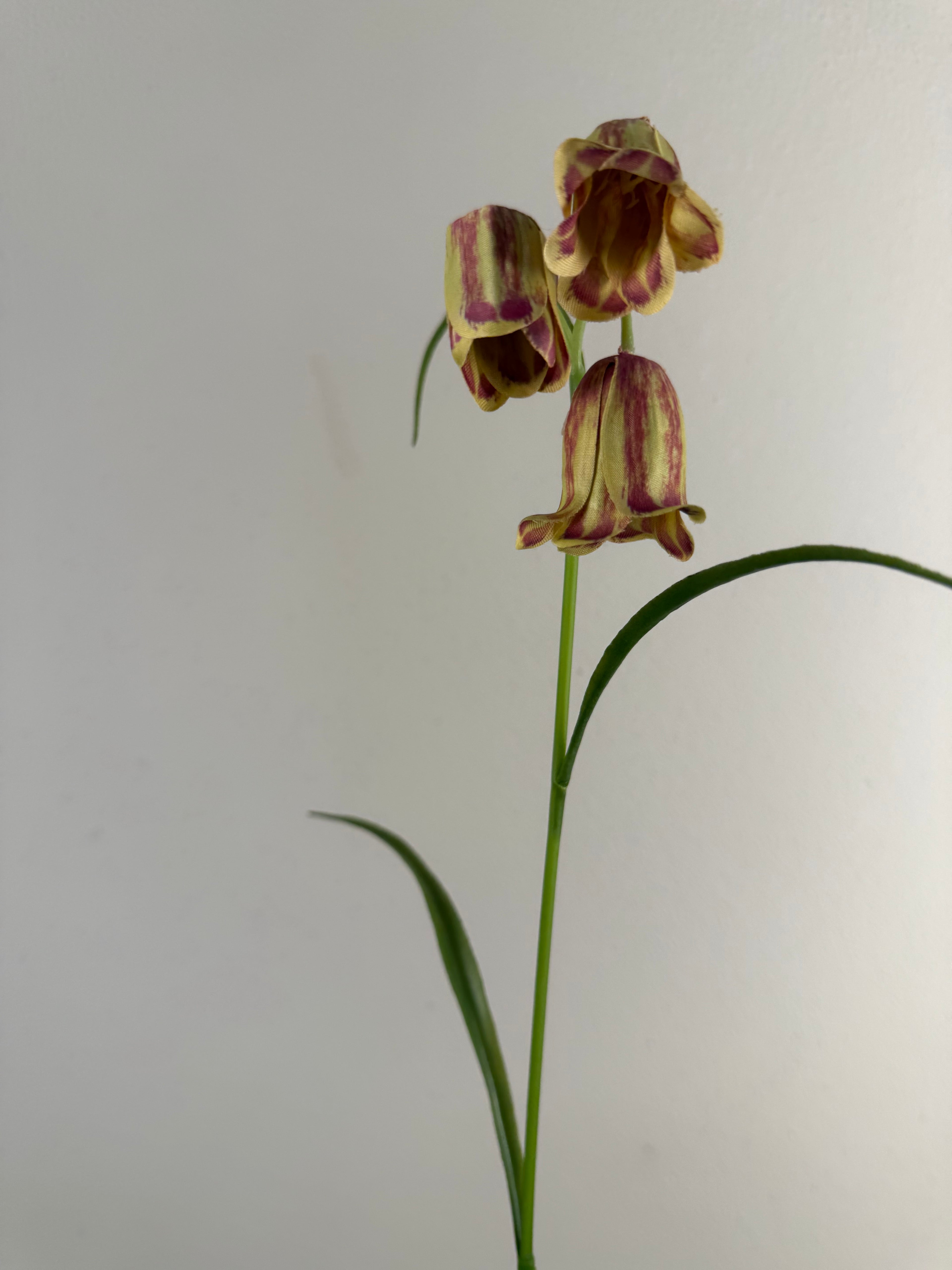 Kunstbloem Fritillaria (Kievitsbloem) 56 cm