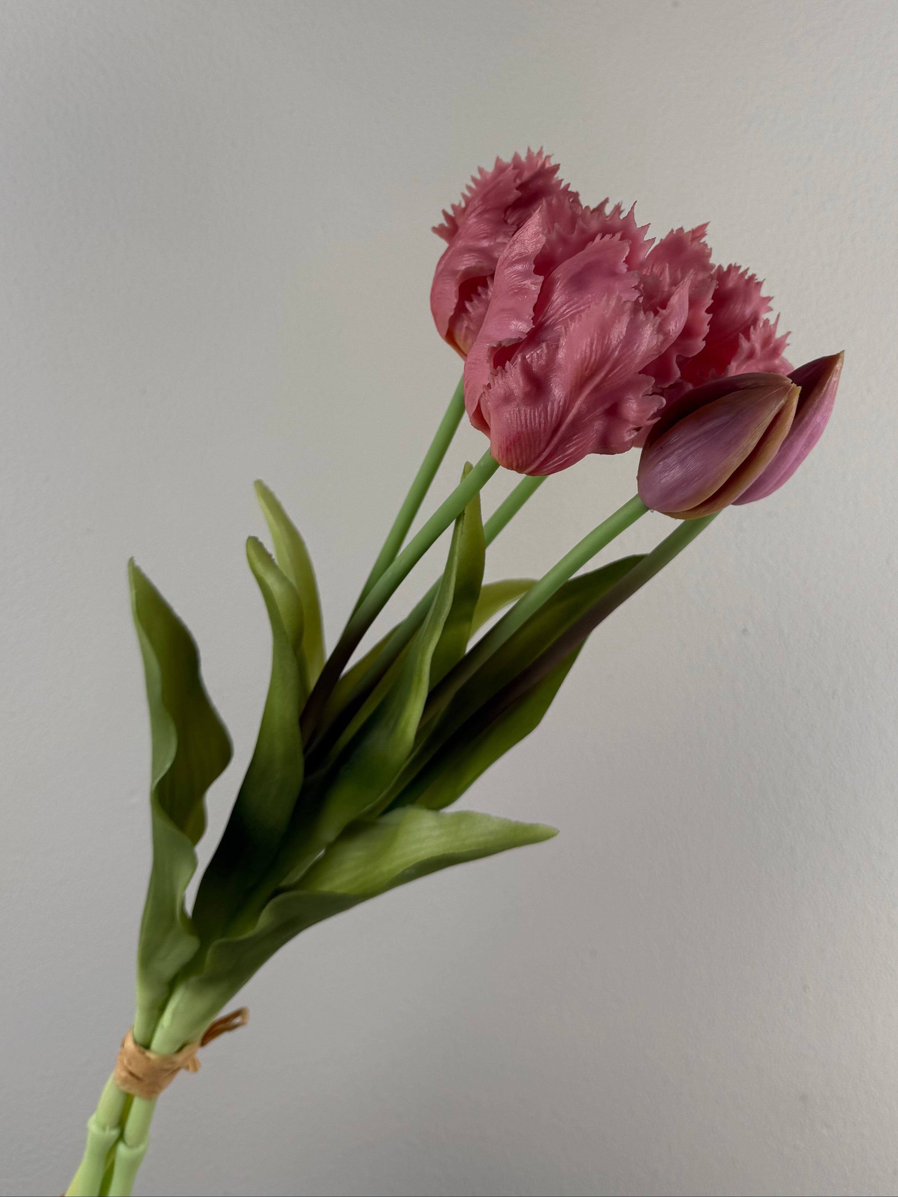 Bos Parkiet tulpen - Mauve - 40 cm