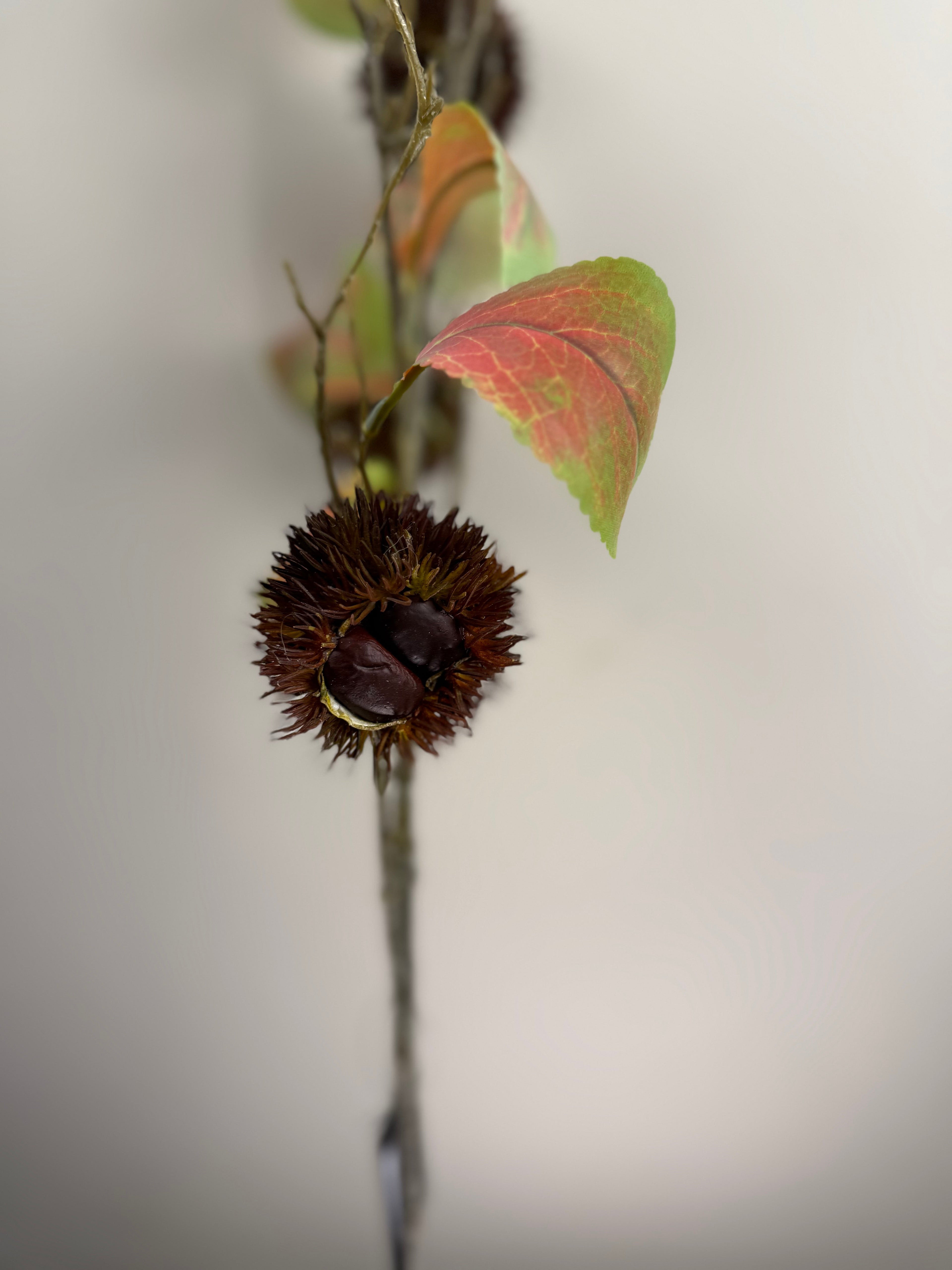 Kunsttak met Kastanjes Bruin 92 cm