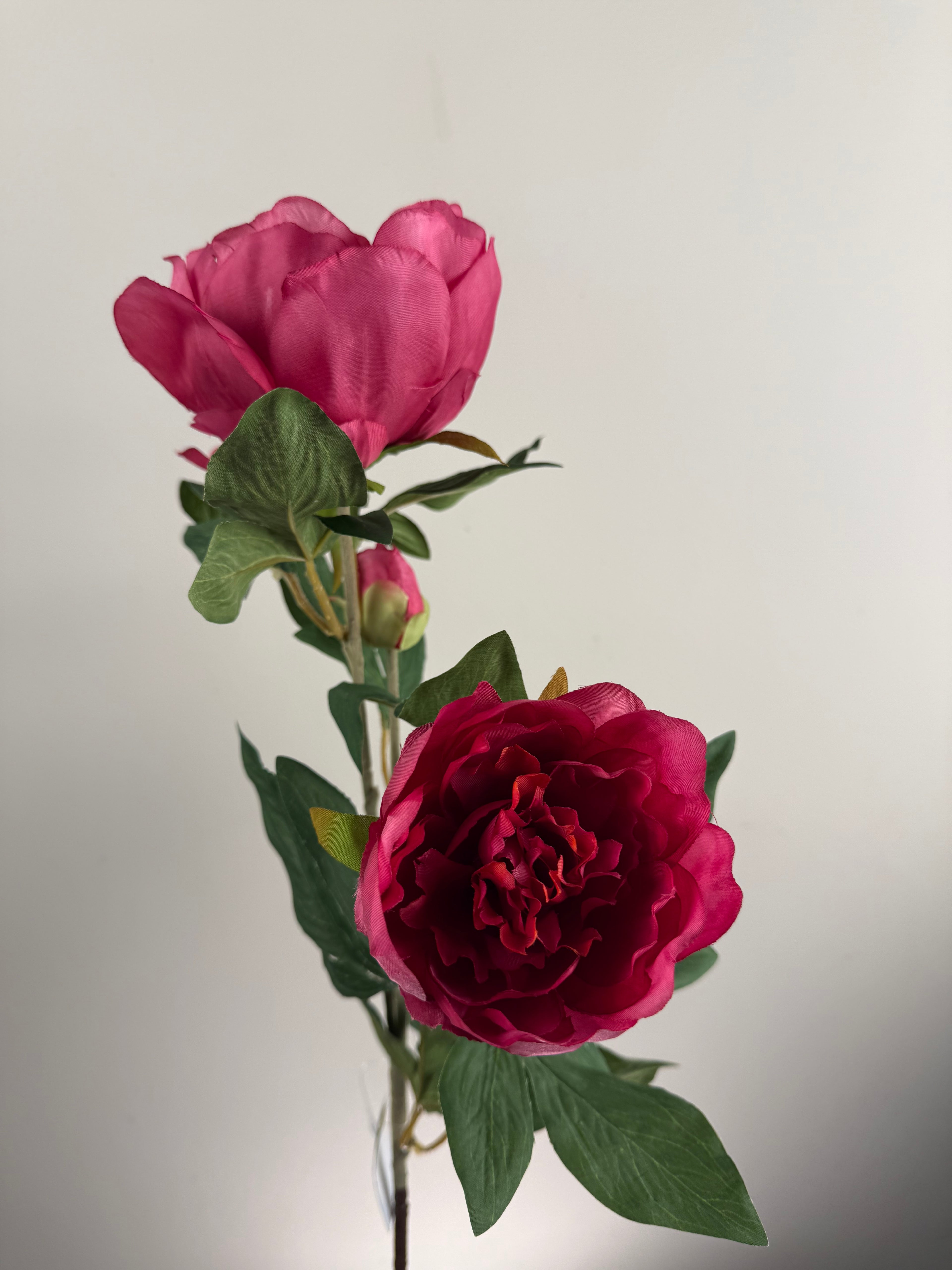 Kunstpioenroos  Paeony Fuchsia 65 cm