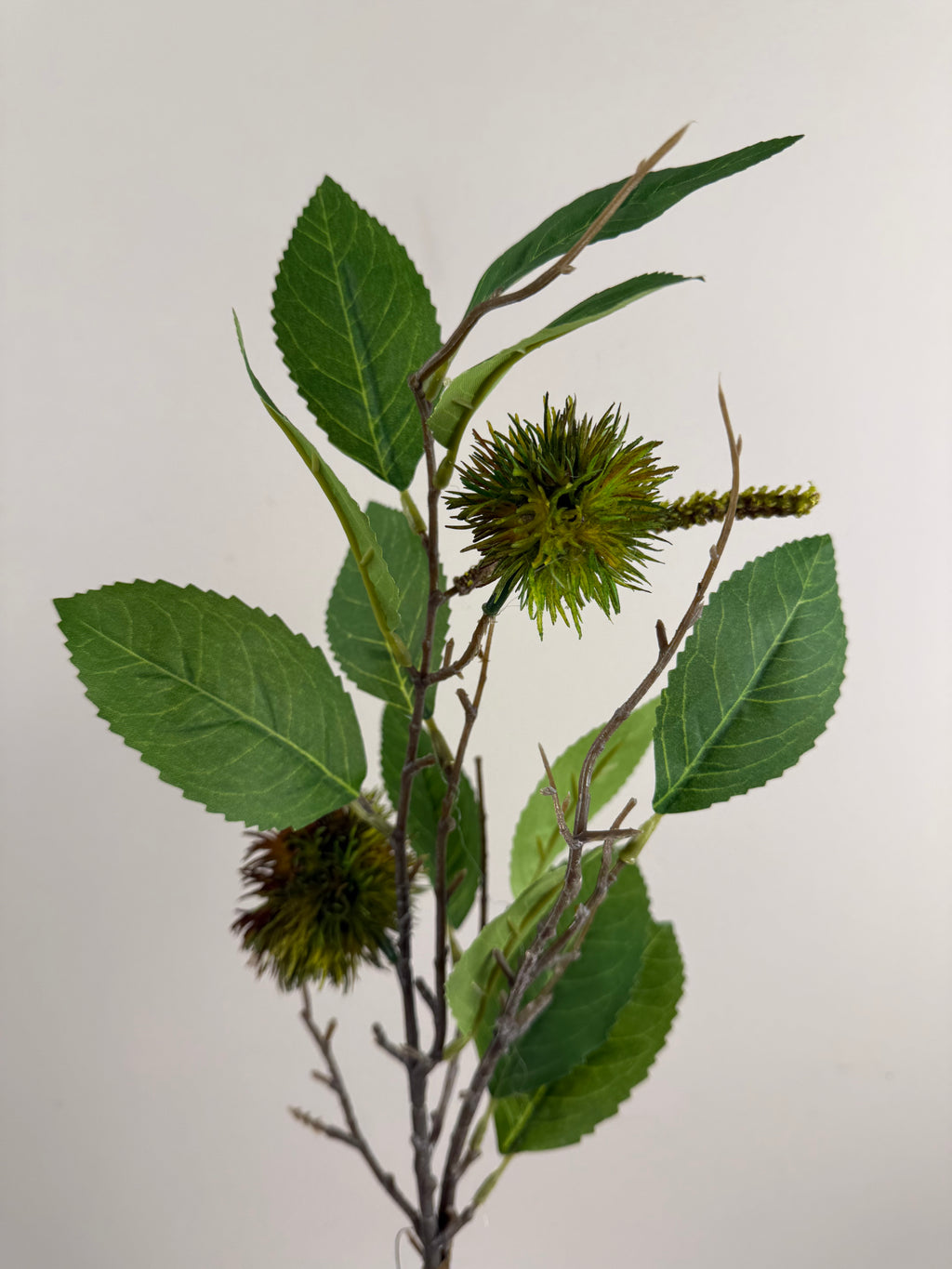 Kunsttak Kastanje Green/Brown – Branch Chestnut – ±50 cm – Zeer Realistisch