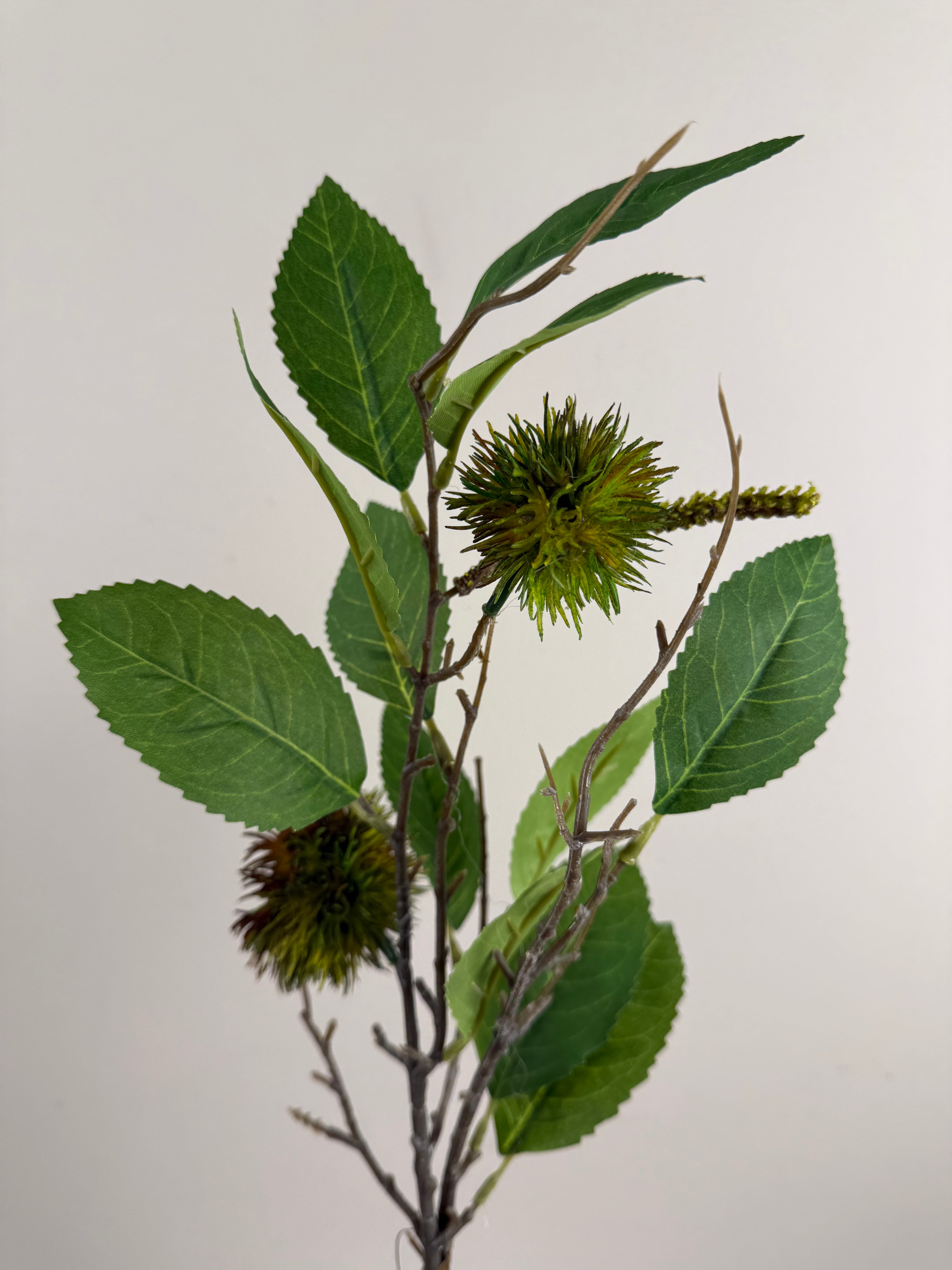 Kunsttak Kastanje Green/Brown – Branch Chestnut – ±50 cm – Zeer Realistisch