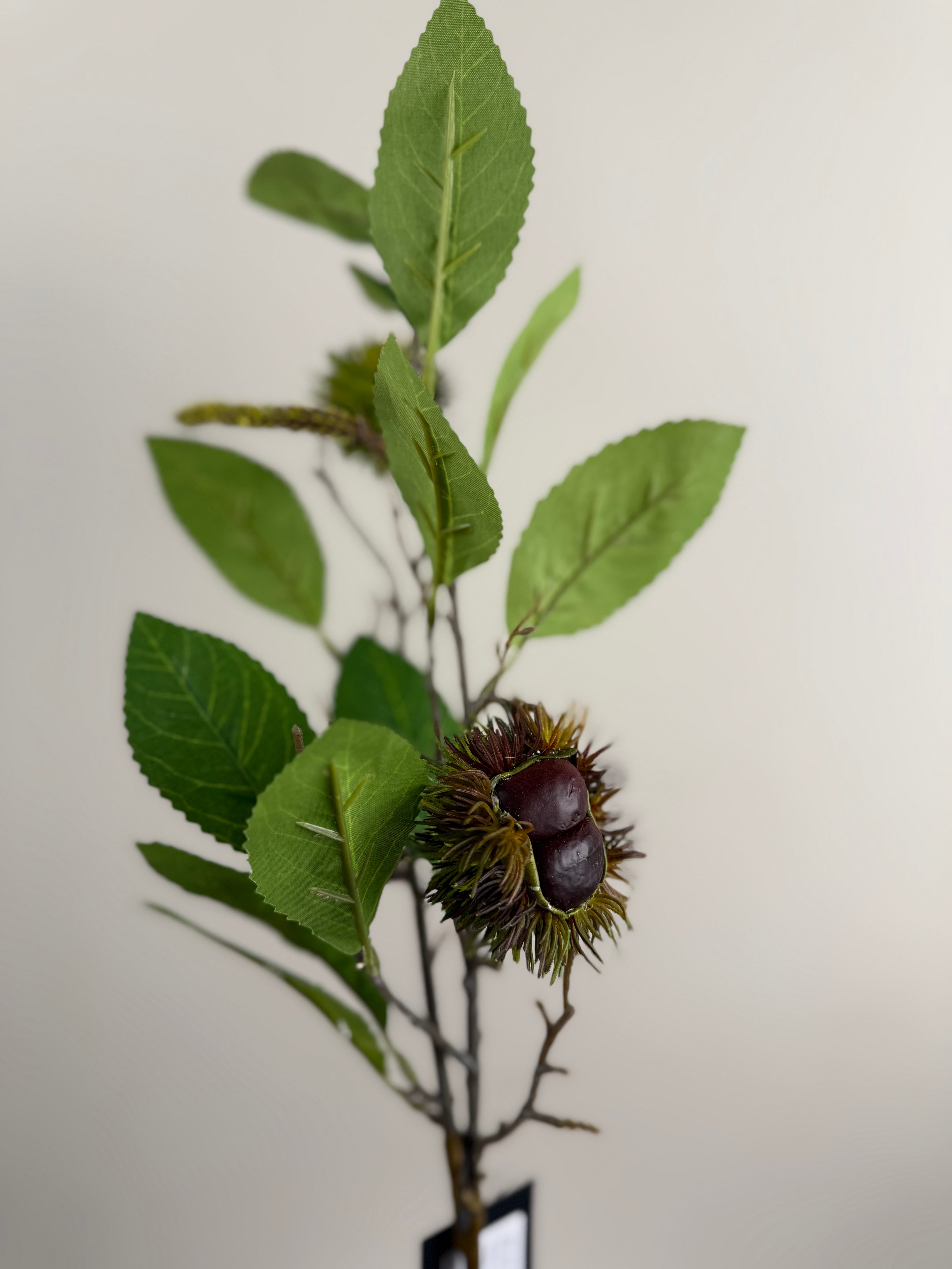 Kunsttak Kastanje Green/Brown – Branch Chestnut – ±50 cm – Zeer Realistisch