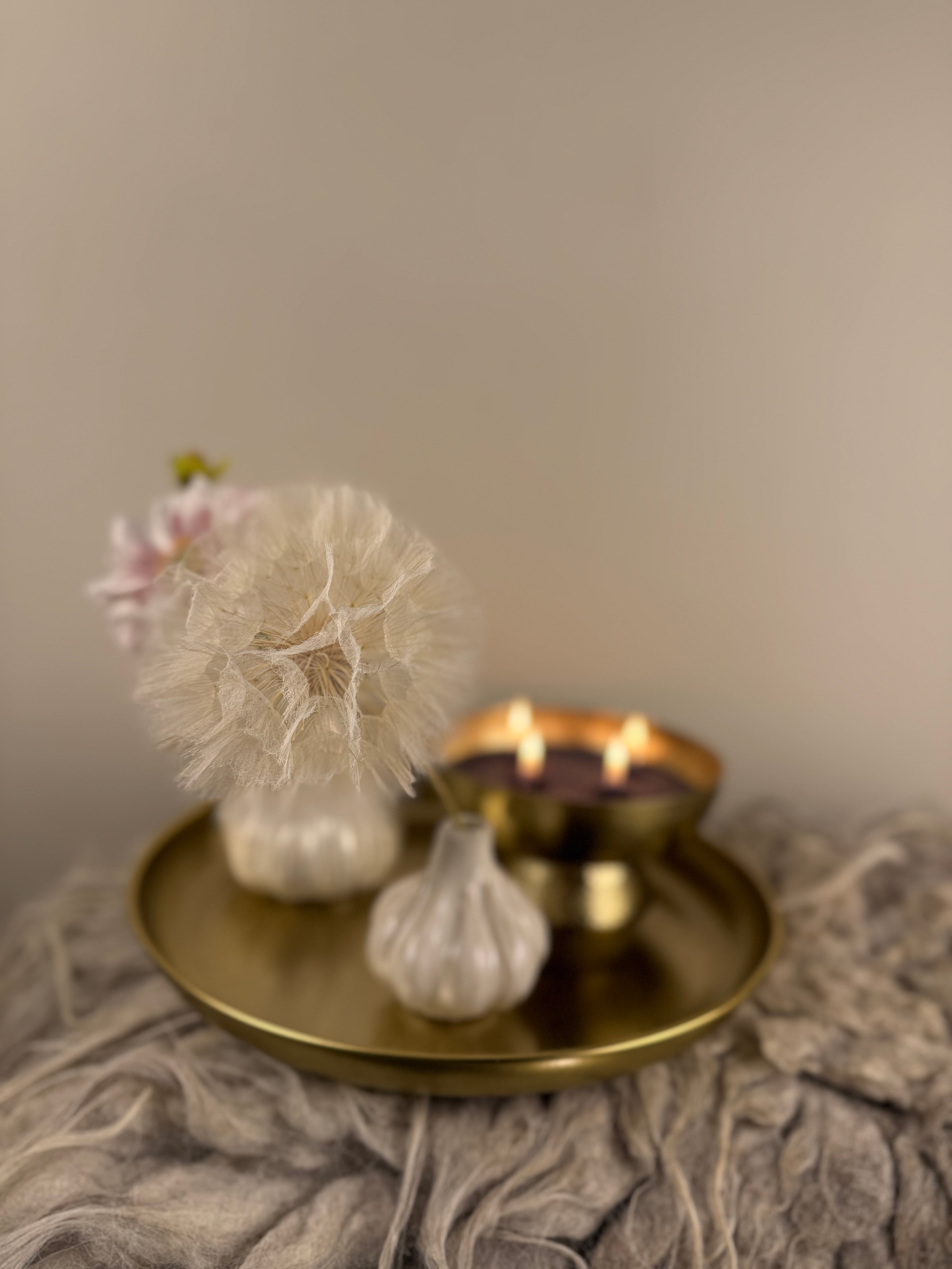 Dried Dandelion – Gedroogde Reuzenblaasbloem op Steel