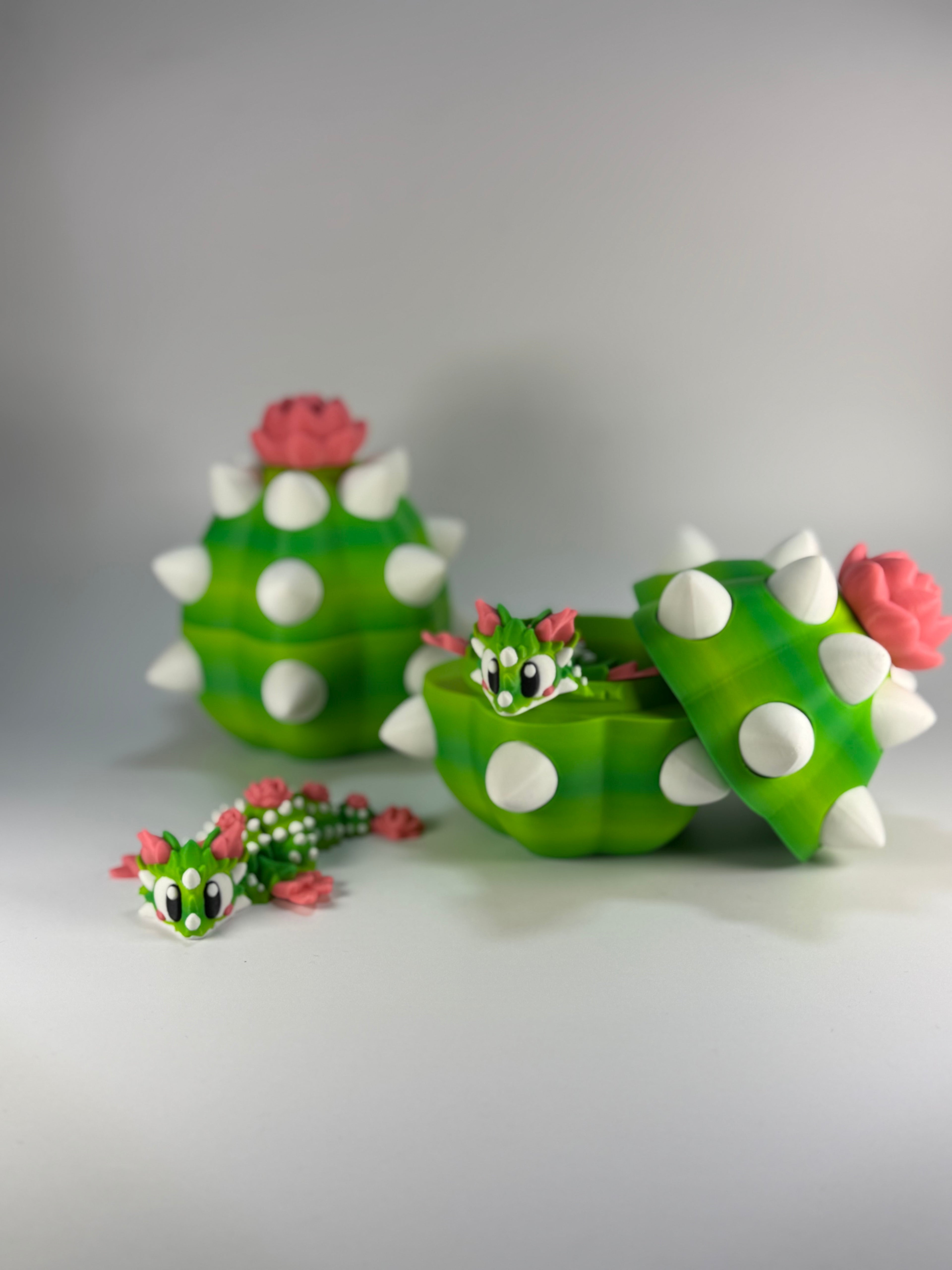 Cactus Mystery Ei met Cactus DesertRose Draak