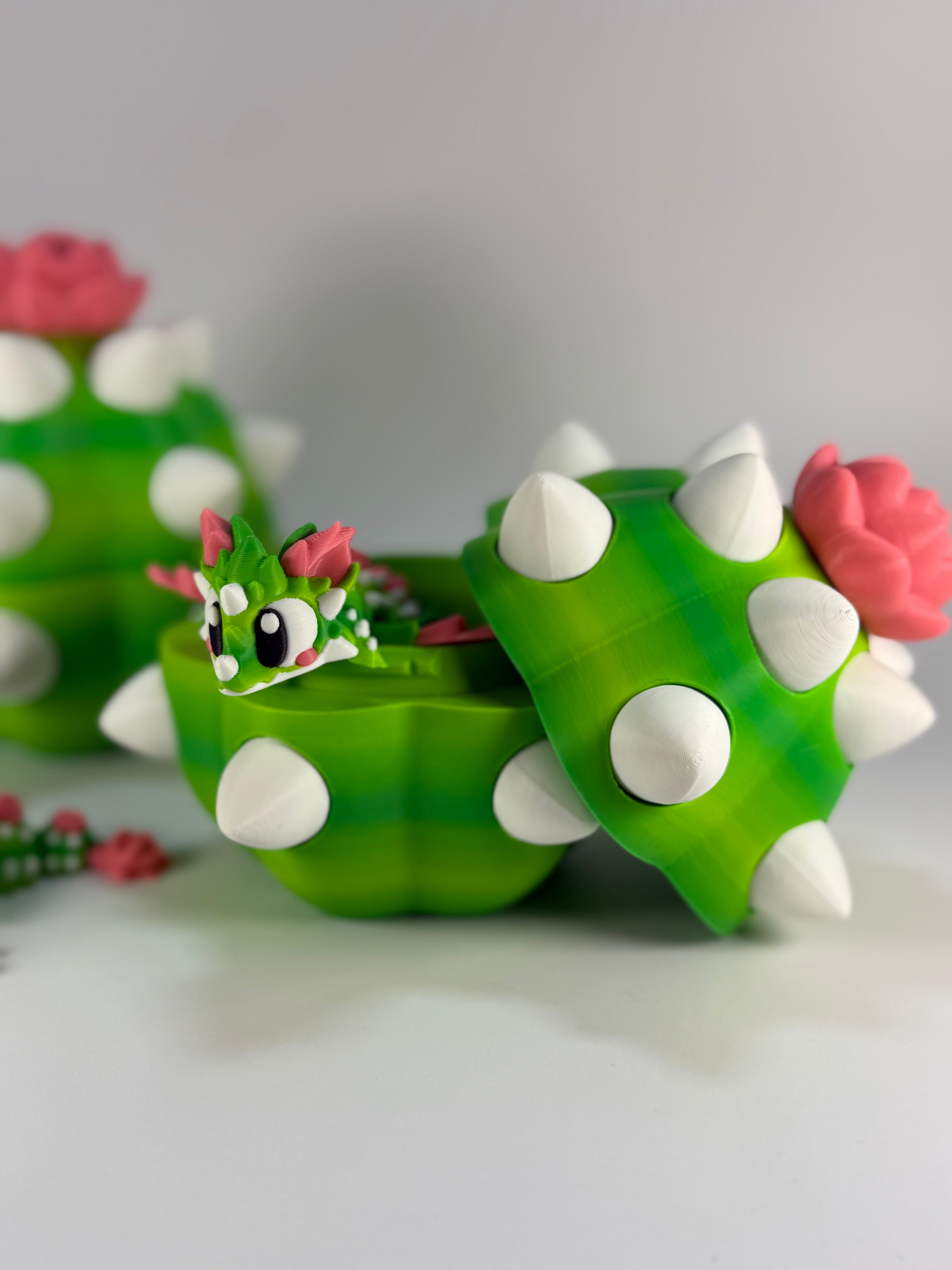 Cactus Mystery Ei met Cactus DesertRose Draak